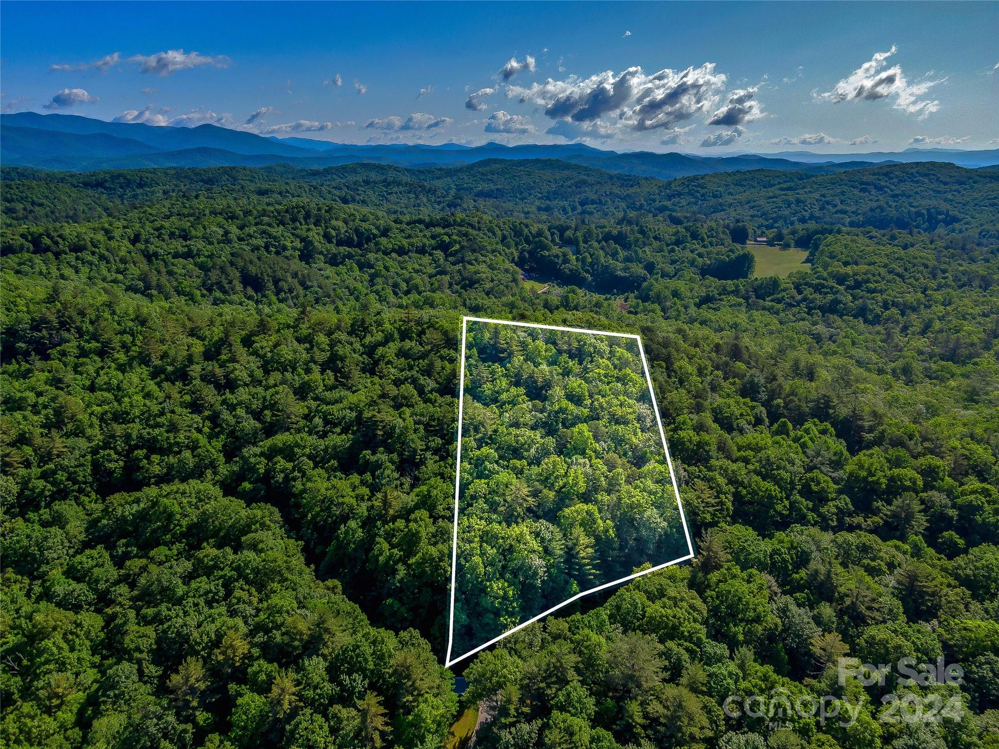103 Hawk Mountain Rd Lake Lake Toxaway, NC 28747 - Photo 1 of 11