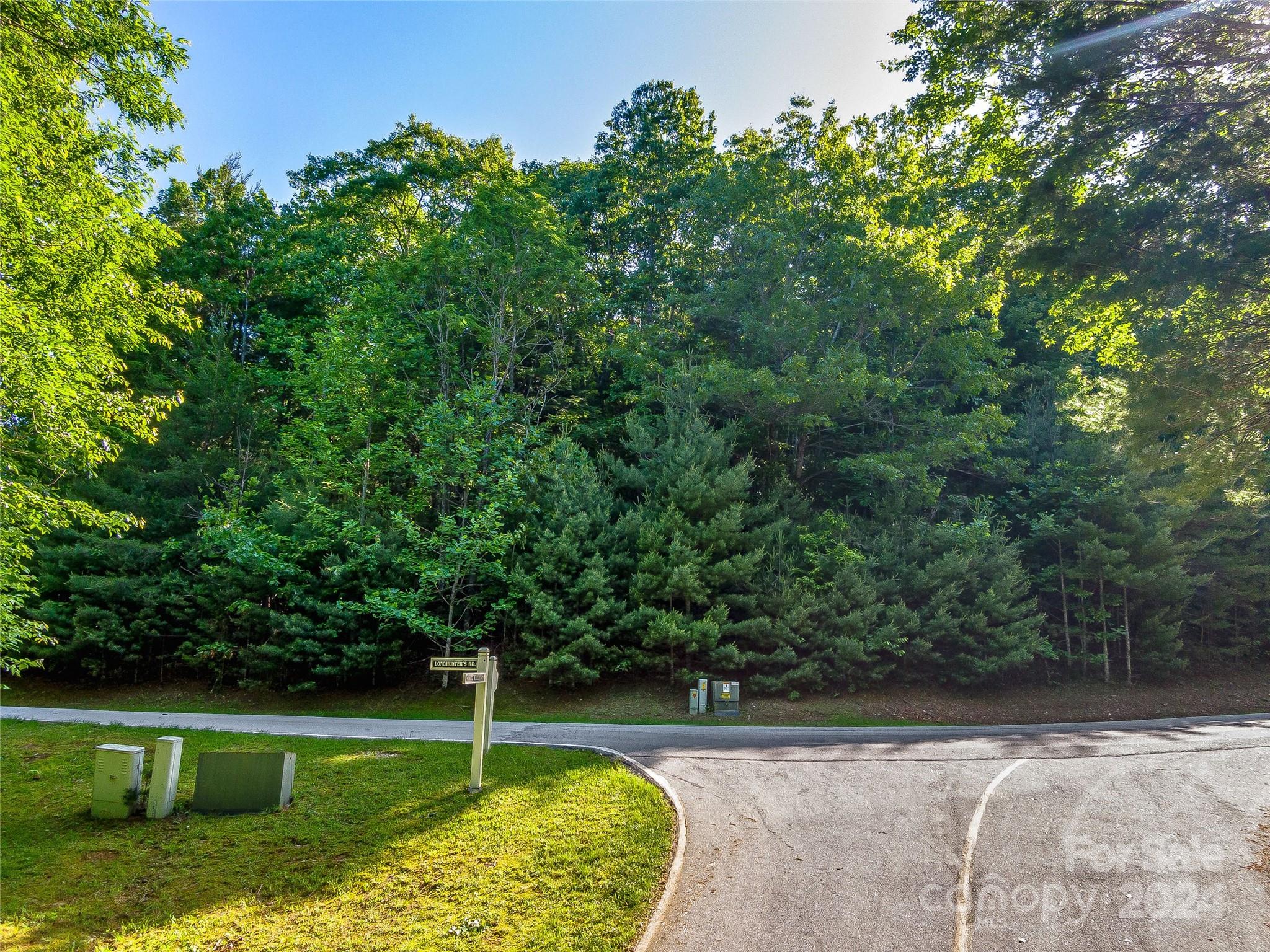 103 Hawk Mountain Rd Lake Lake Toxaway, NC 28747 - Photo 2 of 11