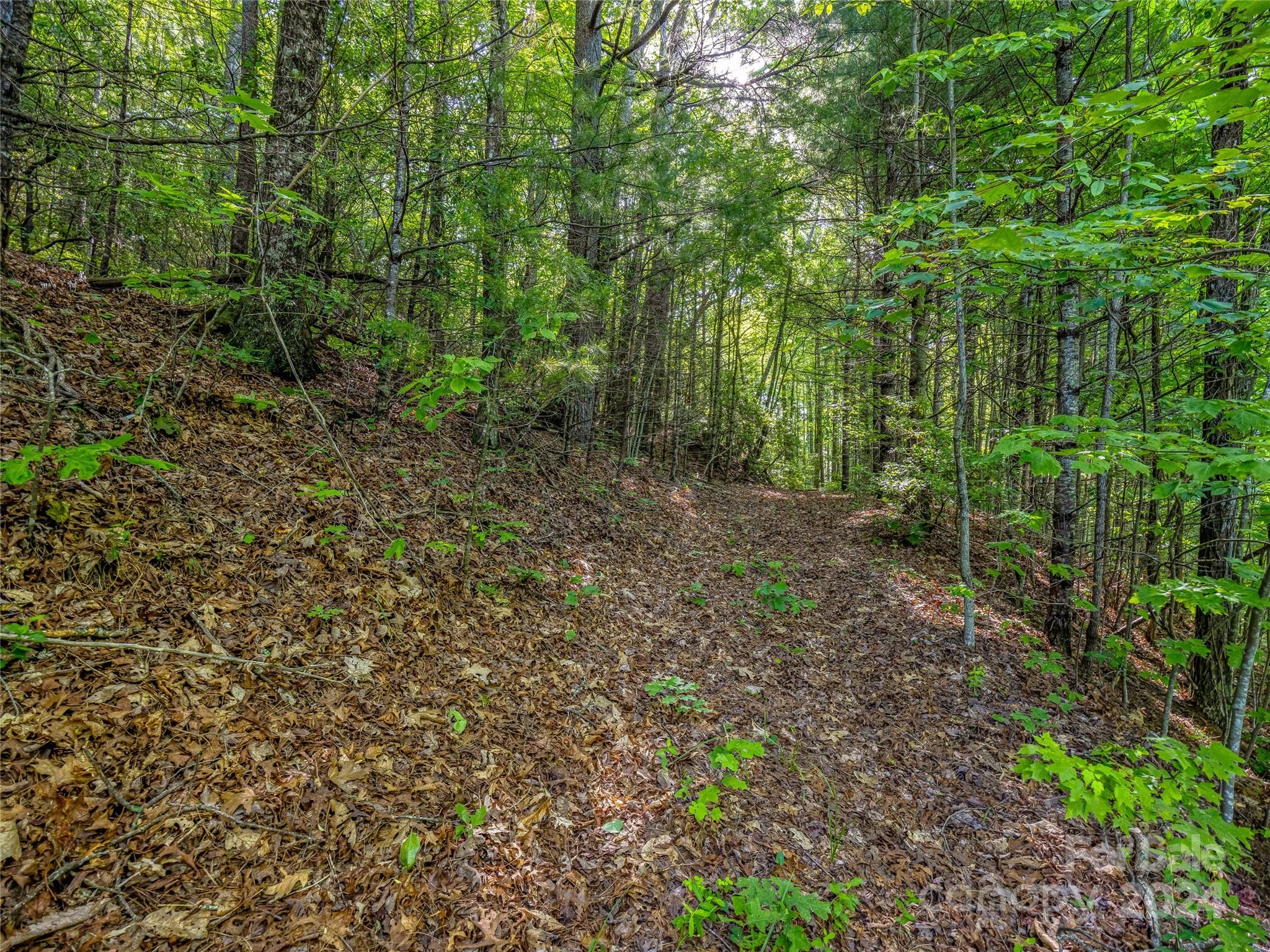103 Hawk Mountain Rd Lake Lake Toxaway, NC 28747 - Photo 4 of 11