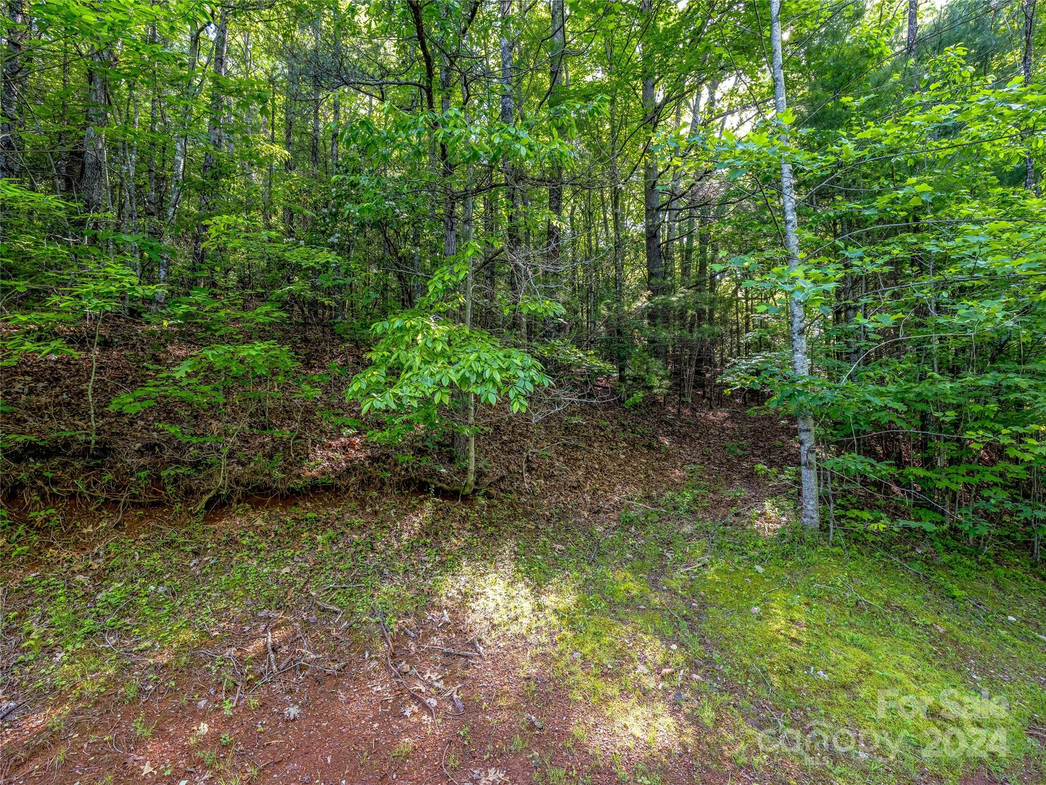 103 Hawk Mountain Rd Lake Lake Toxaway, NC 28747 - Photo 5 of 11