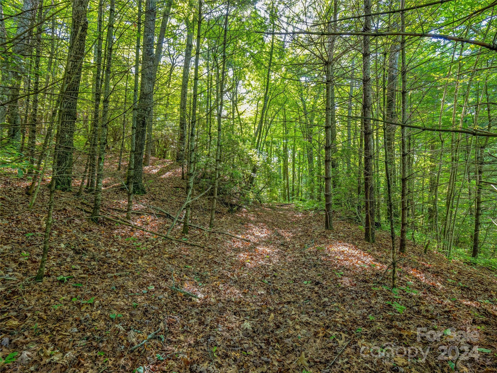 103 Hawk Mountain Rd Lake Lake Toxaway, NC 28747 - Photo 6 of 11