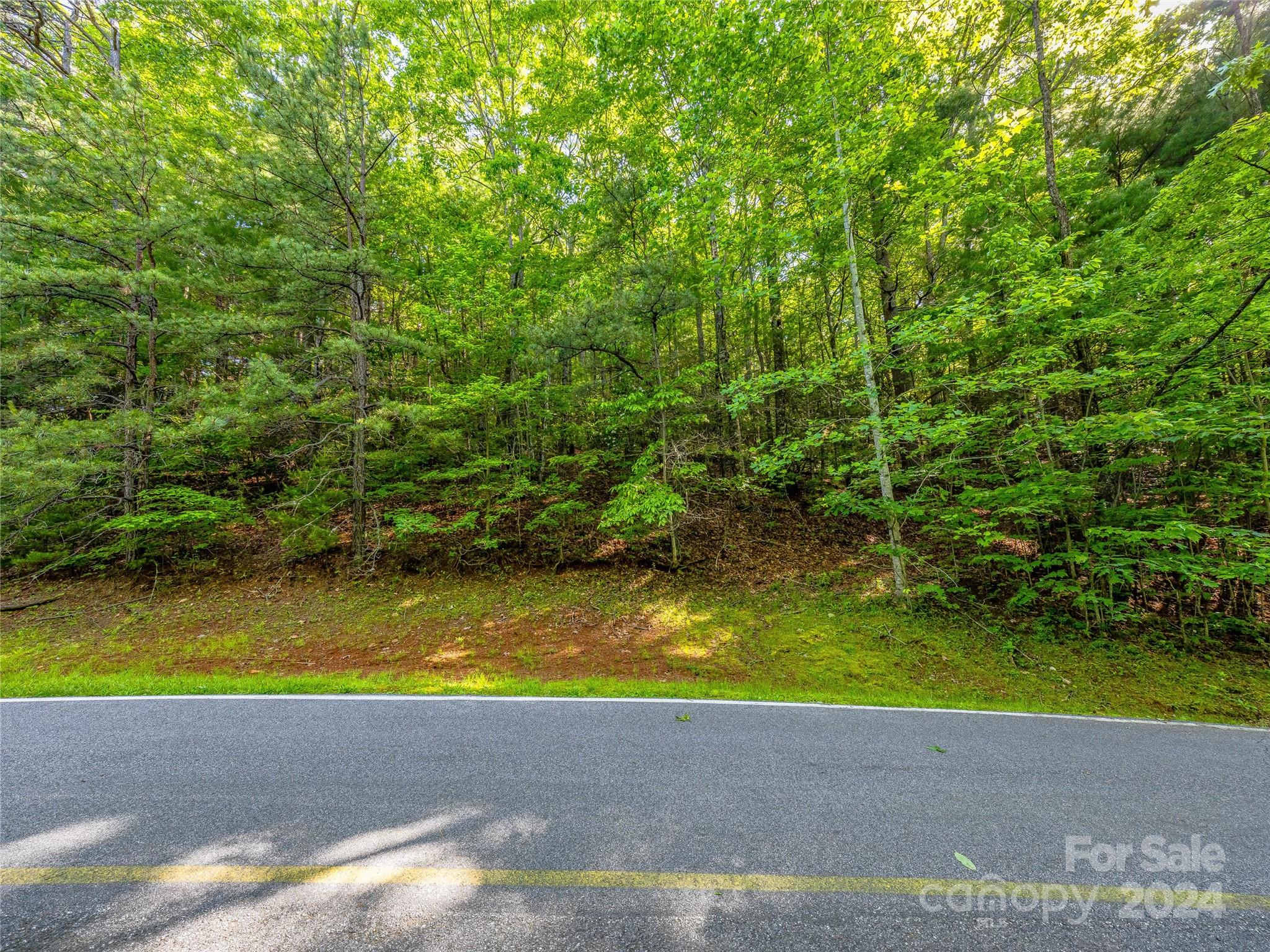 103 Hawk Mountain Rd Lake Lake Toxaway, NC 28747 - Photo 7 of 11