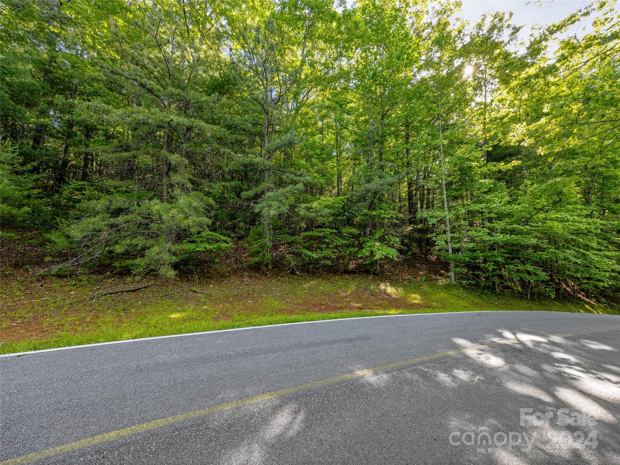 103 Hawk Mountain Rd Lake Lake Toxaway, NC 28747 - Photo 8 of 11
