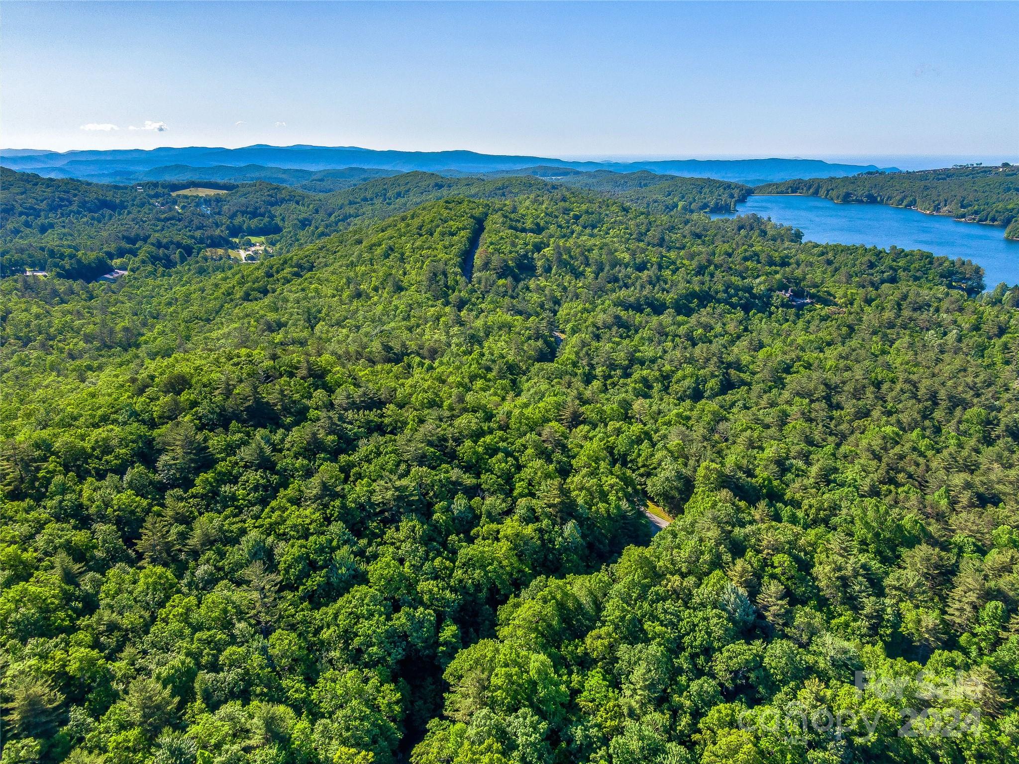103 Hawk Mountain Rd Lake Lake Toxaway, NC 28747 - Photo 10 of 11