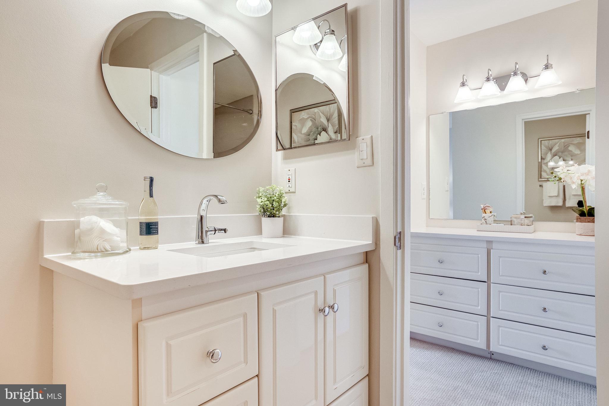 2024 Lakebreeze Way Reston, VA 20191 - Photo 52 of 95 a bathroom with a double vanity sink and a mirror