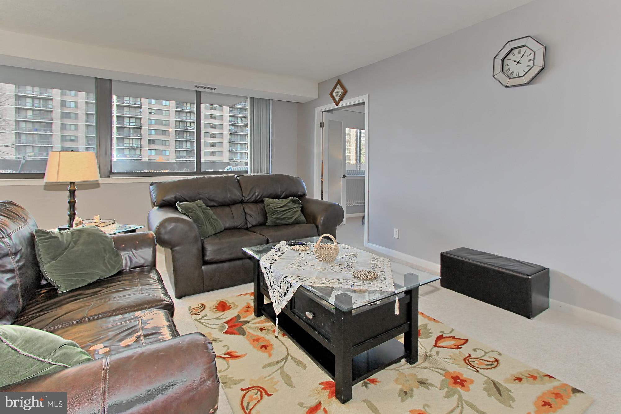 5501 Seminary Road, Unit 314S Falls Church, VA 22041 - Photo 12 of 30 a living room with furniture and a window