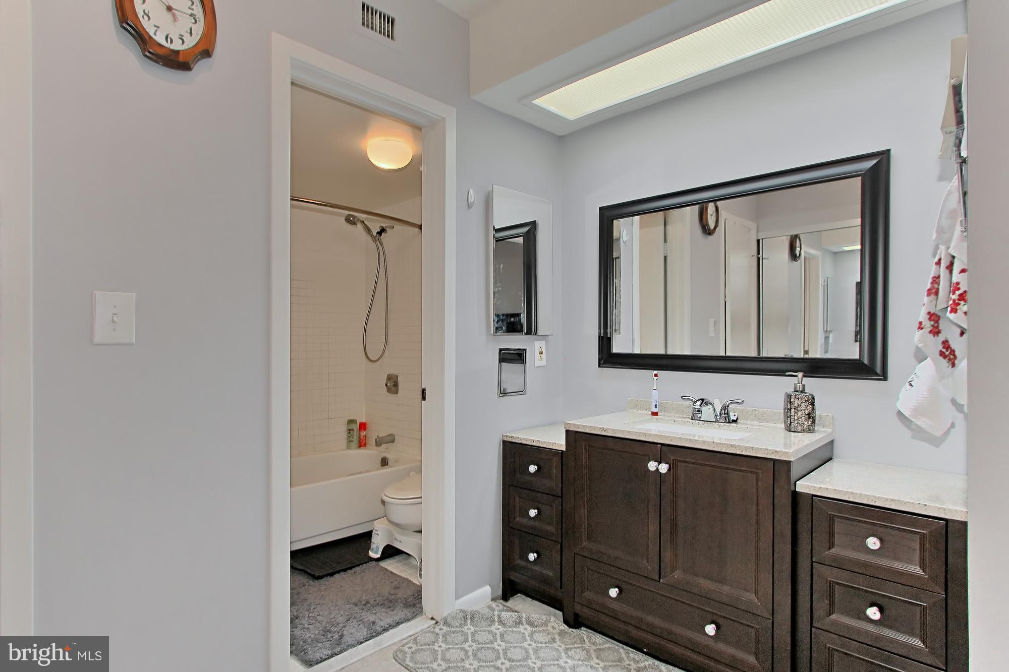 5501 Seminary Road, Unit 314S Falls Church, VA 22041 - Photo 20 of 30 a bathroom with a sink vanity granite tub and a mirror