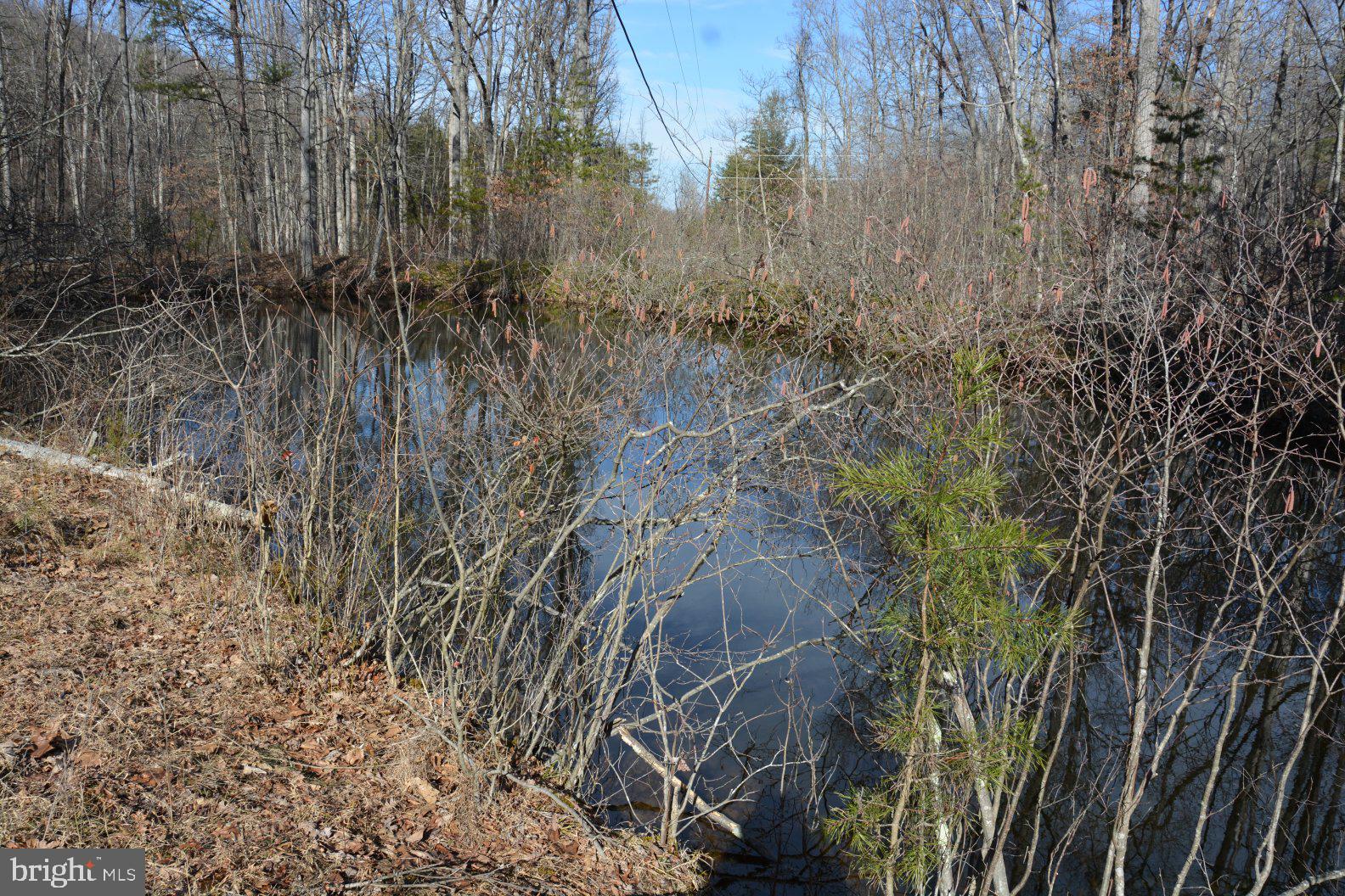 Back Creek Road, Unit 3800 Gore, VA 22637 - Photo 3 of 36 Pond