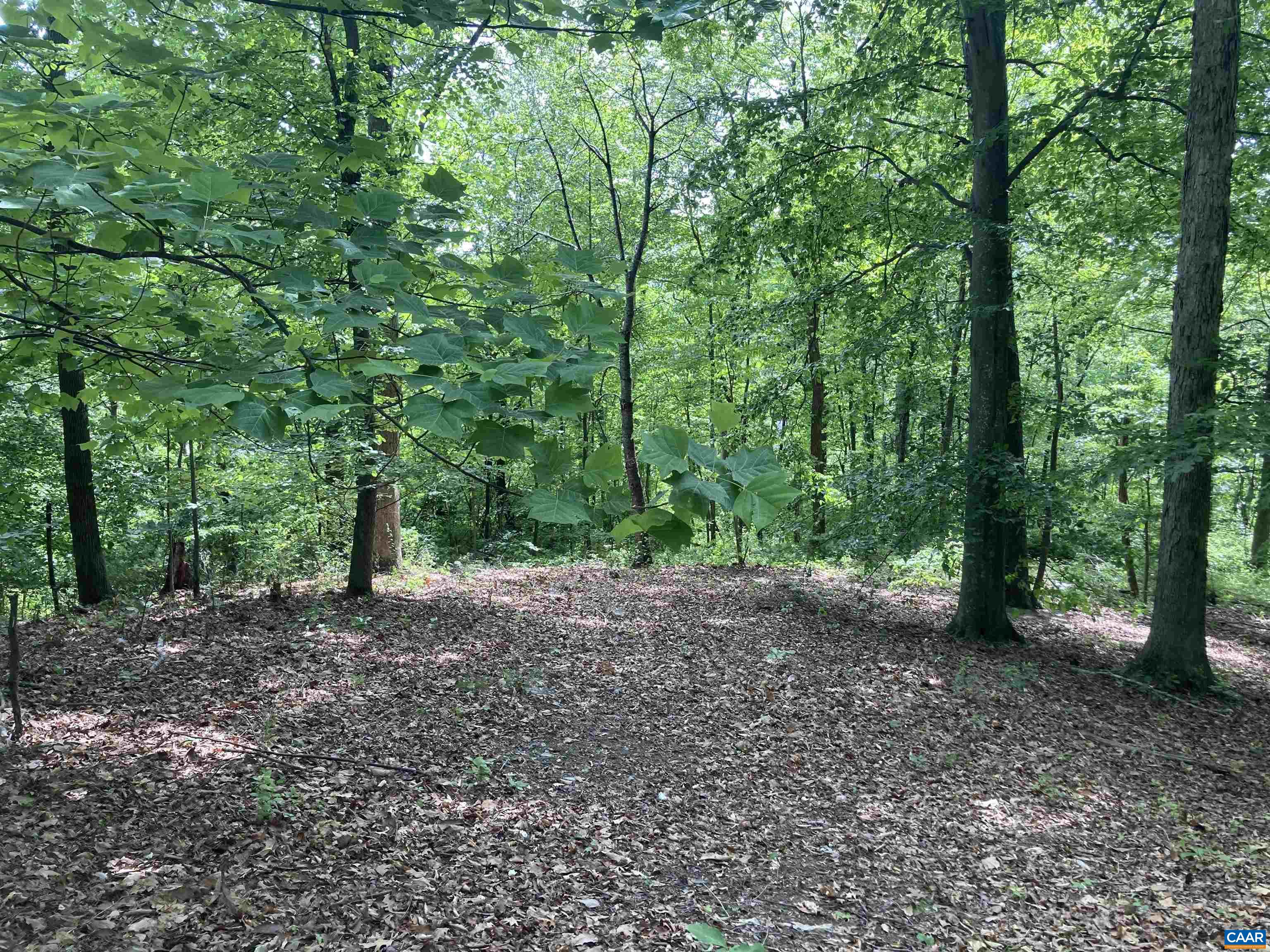 14150 James River Road Lovingston, VA 22949 - Photo 52 of 54 Lots of land!