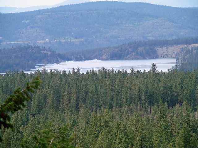 15425 North Mclaughlin Rd Ford Ford, WA 99013 - Photo 5 of 9 Gallery Image 5
