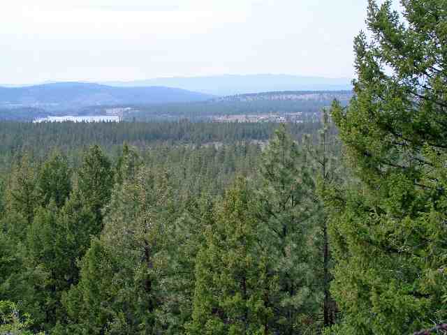 15425 North Mclaughlin Rd Ford Ford, WA 99013 - Photo 6 of 9 Gallery Image 6