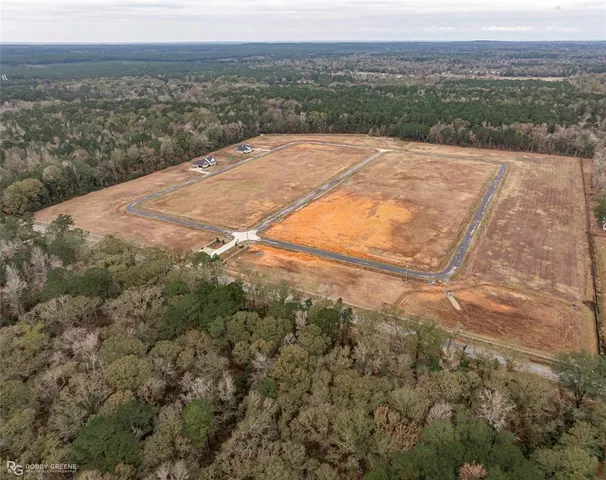 a view of a lake with a mountain