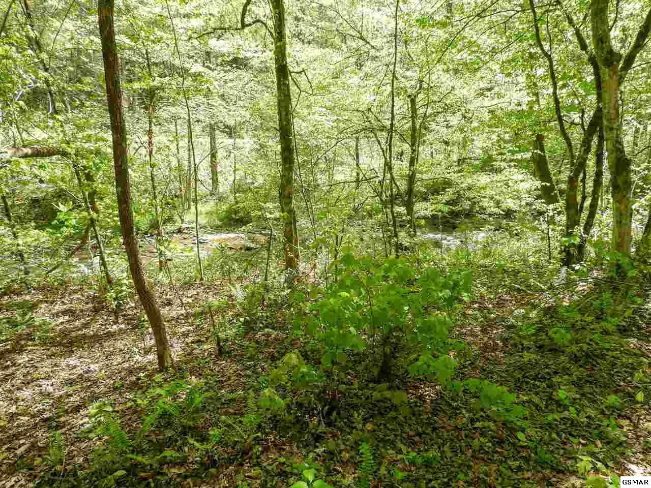 7 Old Birds Creek Road Sevierville, TN 37876 - Photo 9 of 15
