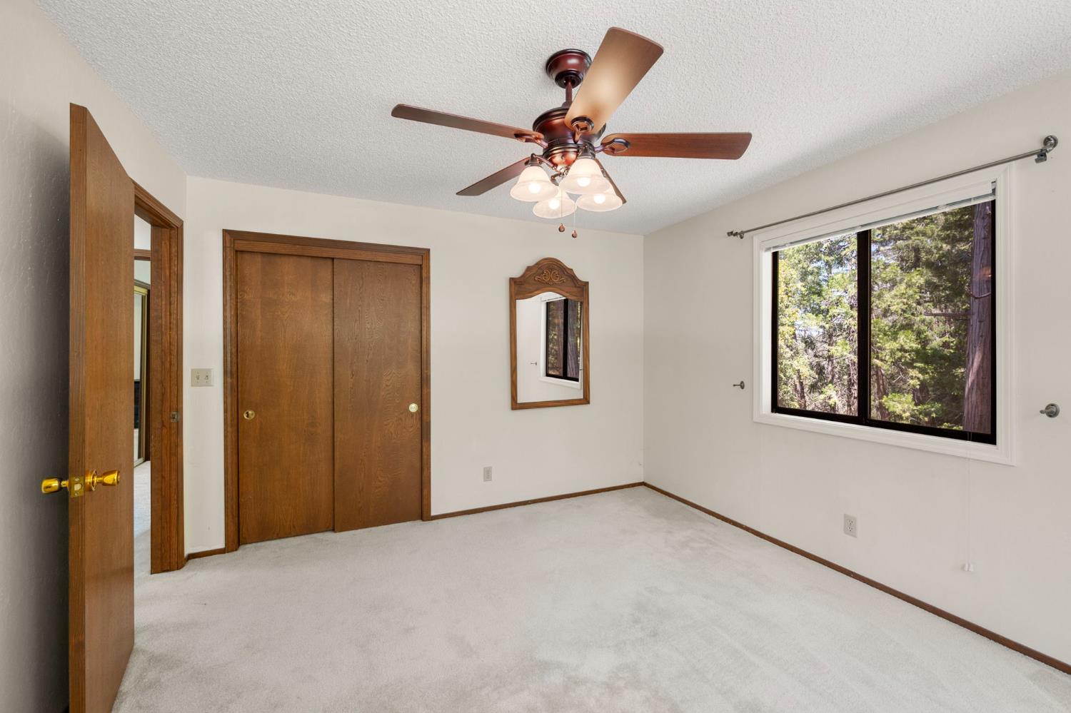24835 Shake Ridge Road Volcano, CA 95689 - Photo 36 of 79 an empty room with windows and fan