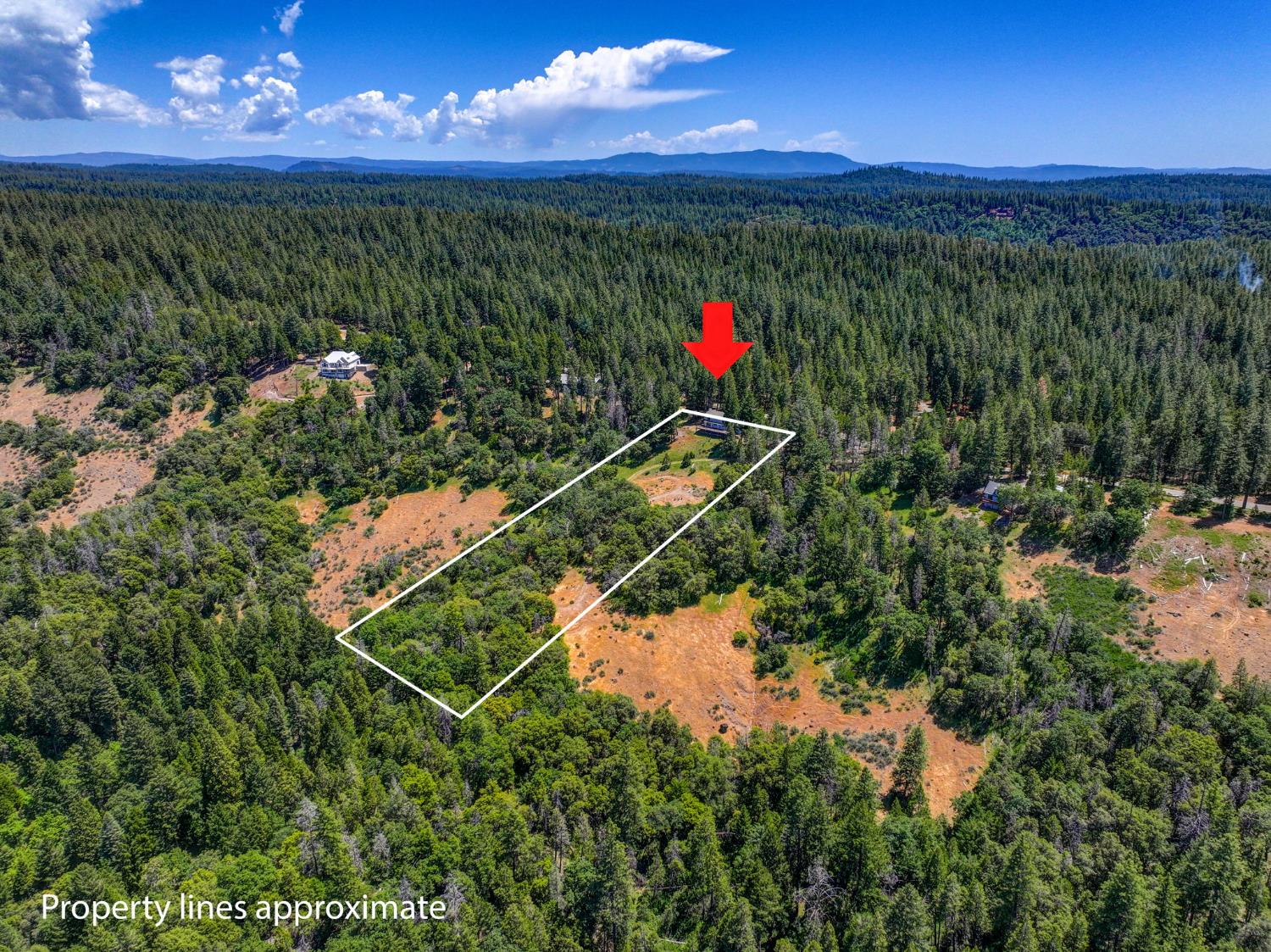 24835 Shake Ridge Road Volcano, CA 95689 - Photo 61 of 79 a view of a outdoor space and a yard