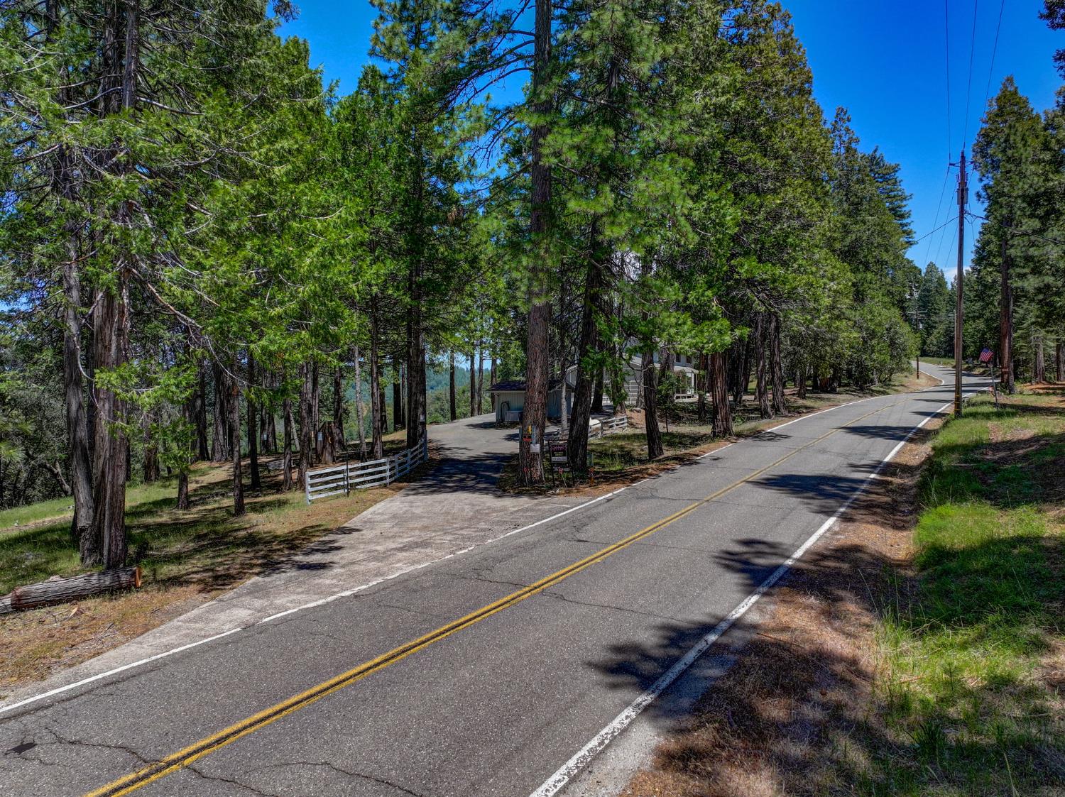 24835 Shake Ridge Road Volcano, CA 95689 - Photo 66 of 79 a view of a park with plants and trees