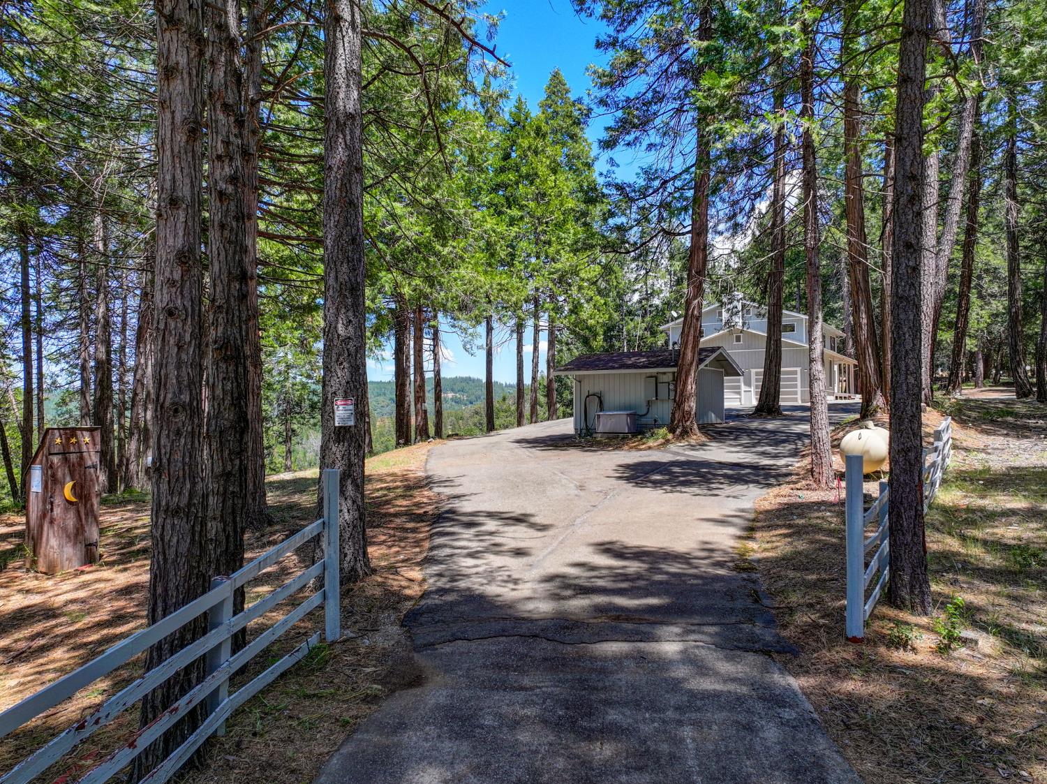 24835 Shake Ridge Road Volcano, CA 95689 - Photo 67 of 79 a view of a yard with plants and trees
