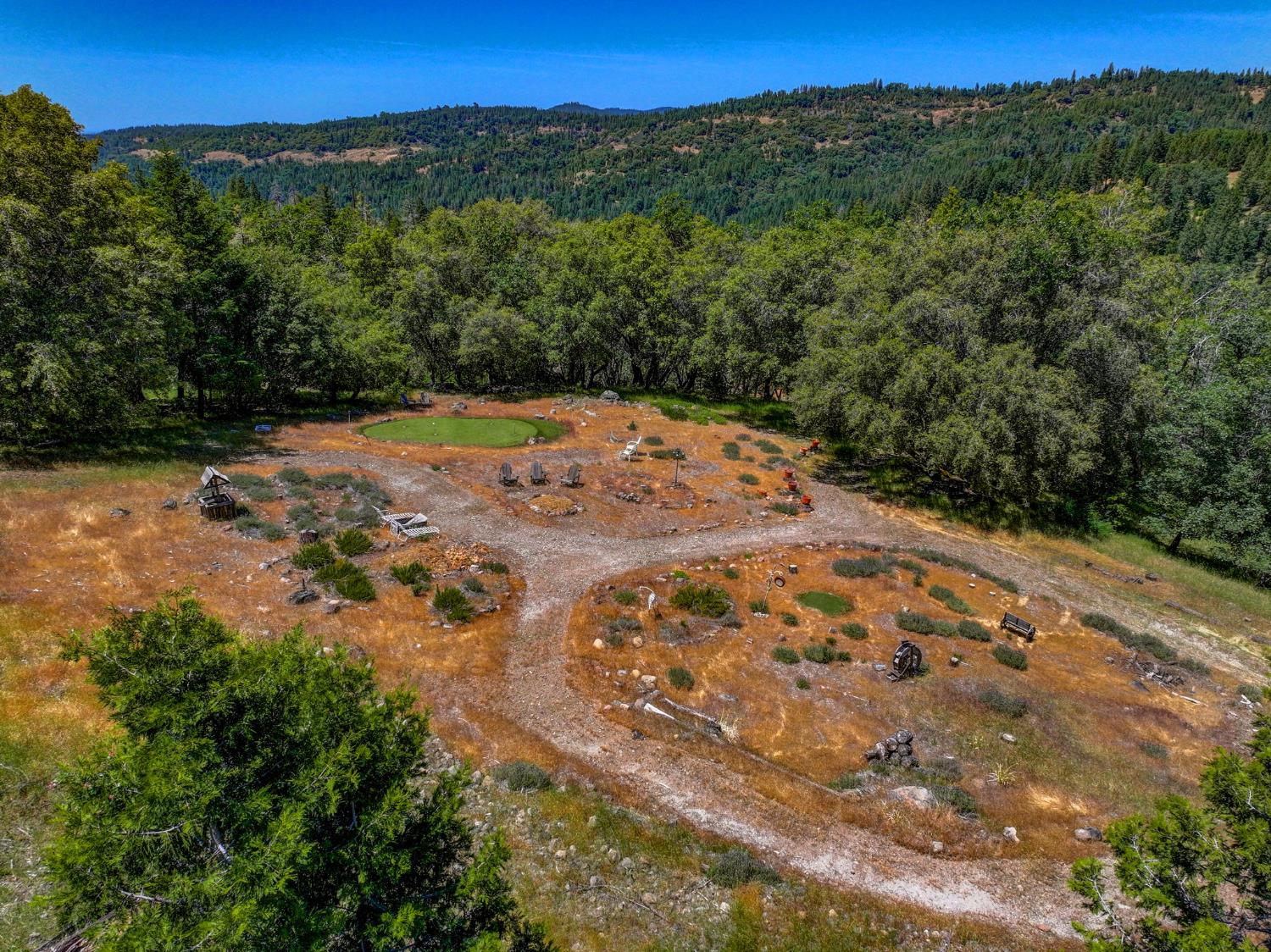 24835 Shake Ridge Road Volcano, CA 95689 - Photo 72 of 79 a view of a yard with a tree