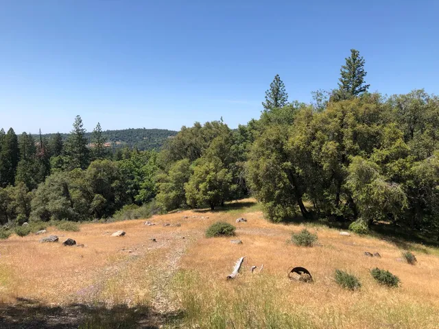 $519,999 | 24835 Shake Ridge Road, Volcano, CA 95689