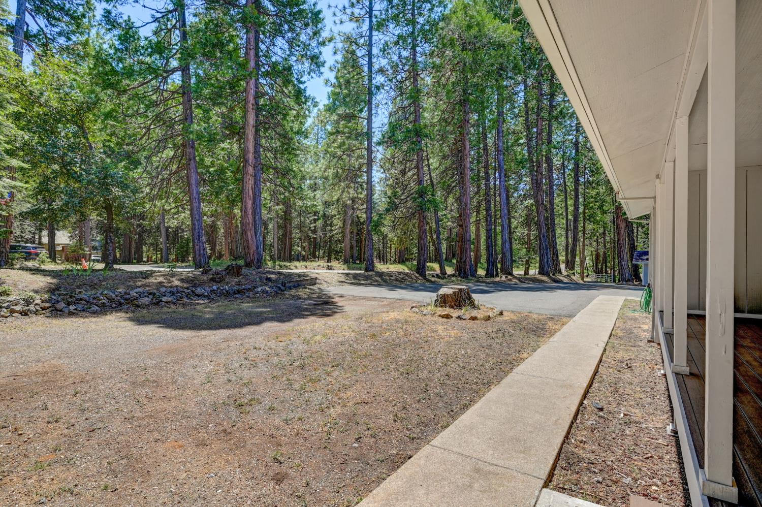 24835 Shake Ridge Road Volcano, CA 95689 - Photo 8 of 79 a backyard of a house with trees and outdoor seating