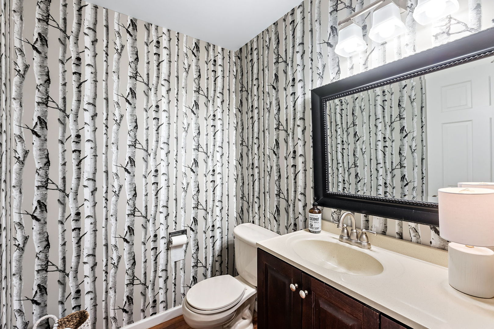 2660 Sun Valley Road Lisle, IL 60532 - Photo 11 of 27 a bathroom with a granite countertop sink and a mirror