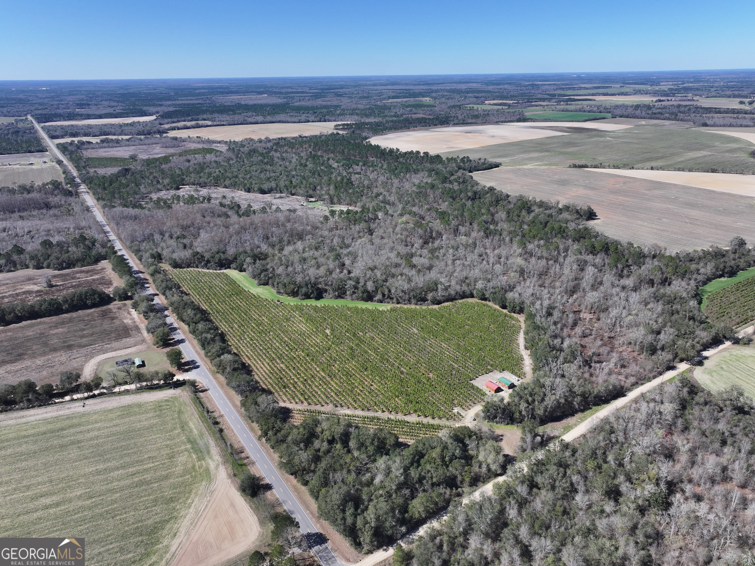 2430 Big Oak Road Damascus, GA 39841 - Photo 13 of 84