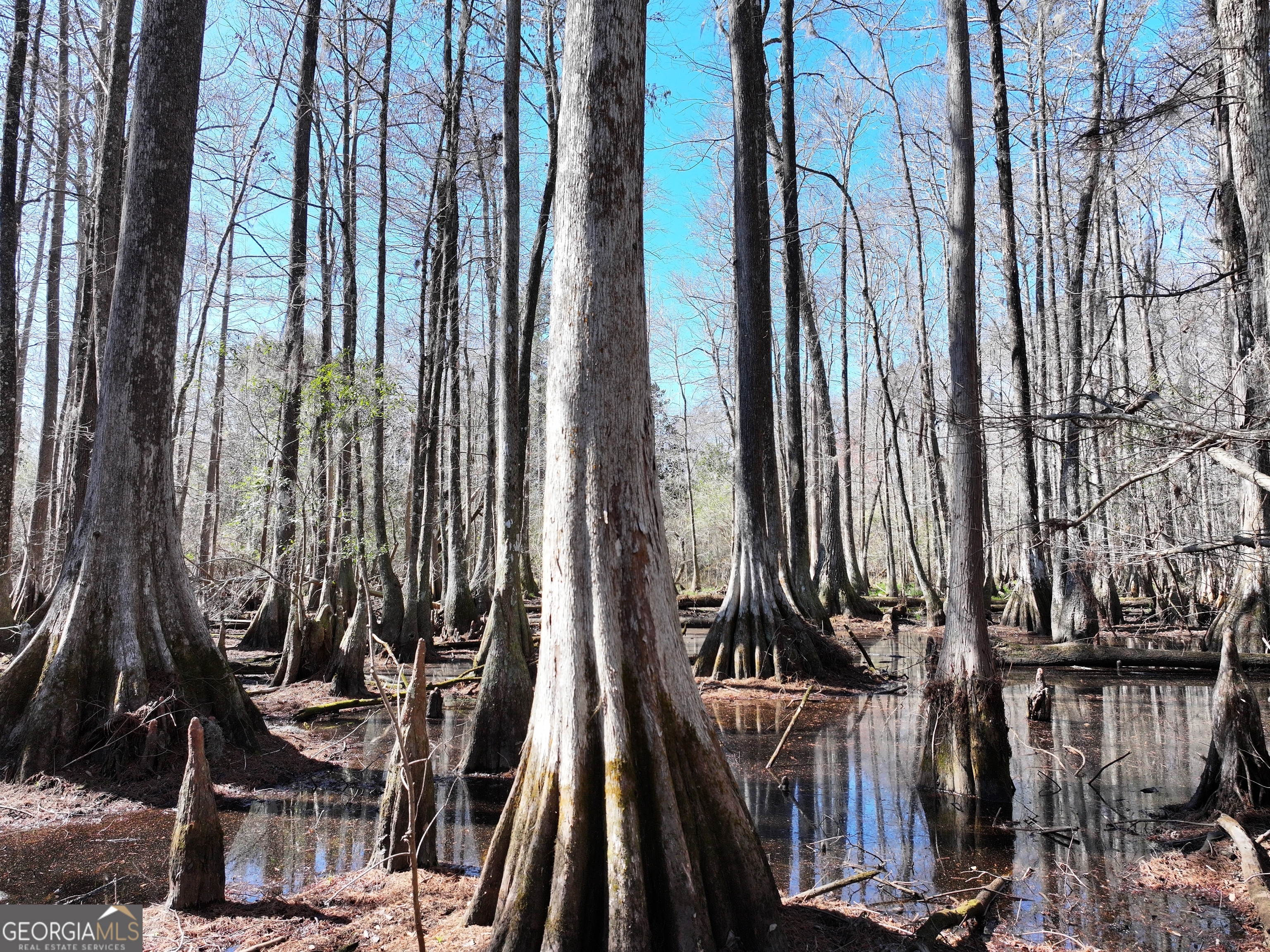 2430 Big Oak Road Damascus, GA 39841 - Photo 16 of 84