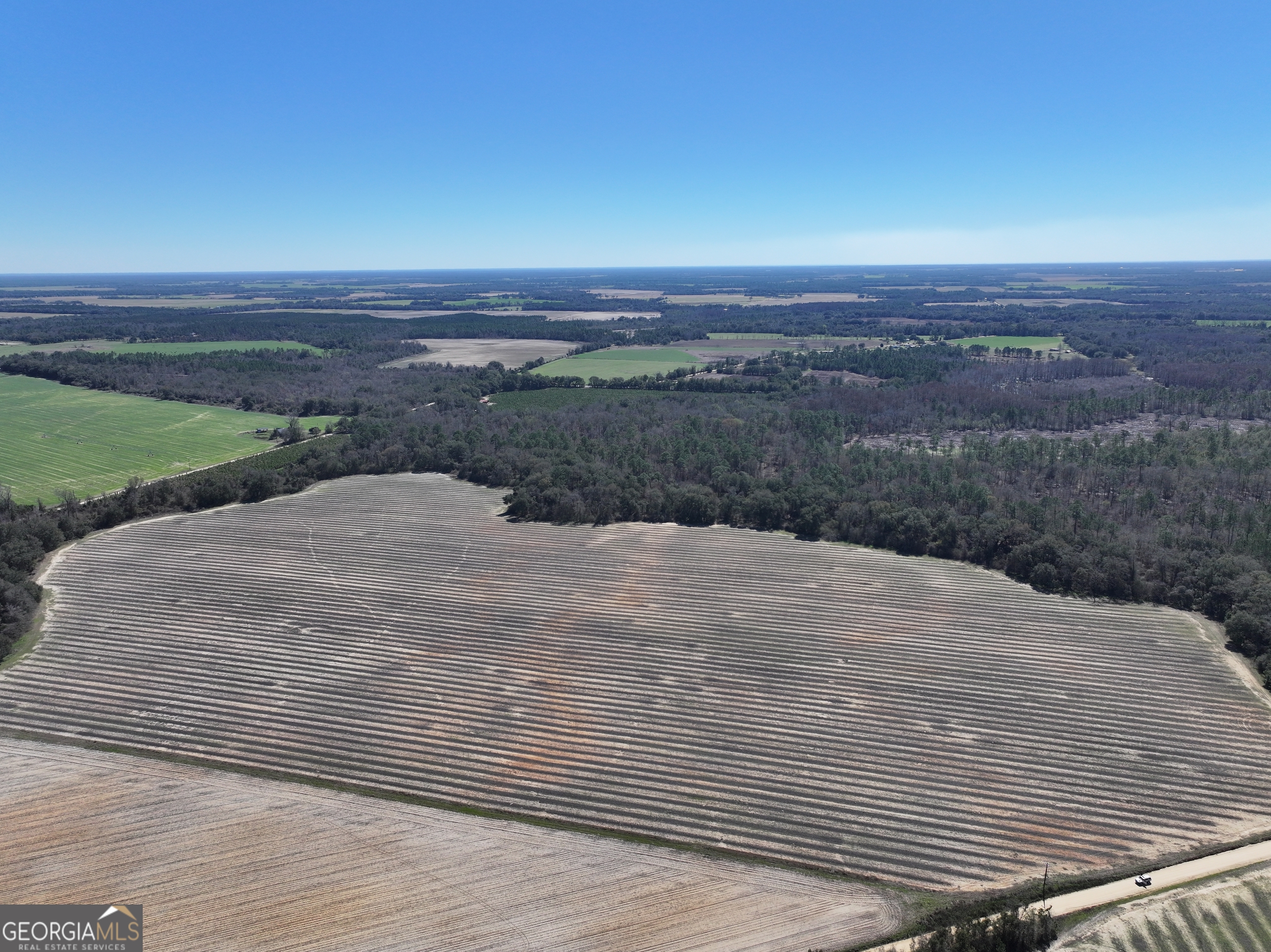 2430 Big Oak Road Damascus, GA 39841 - Photo 2 of 84