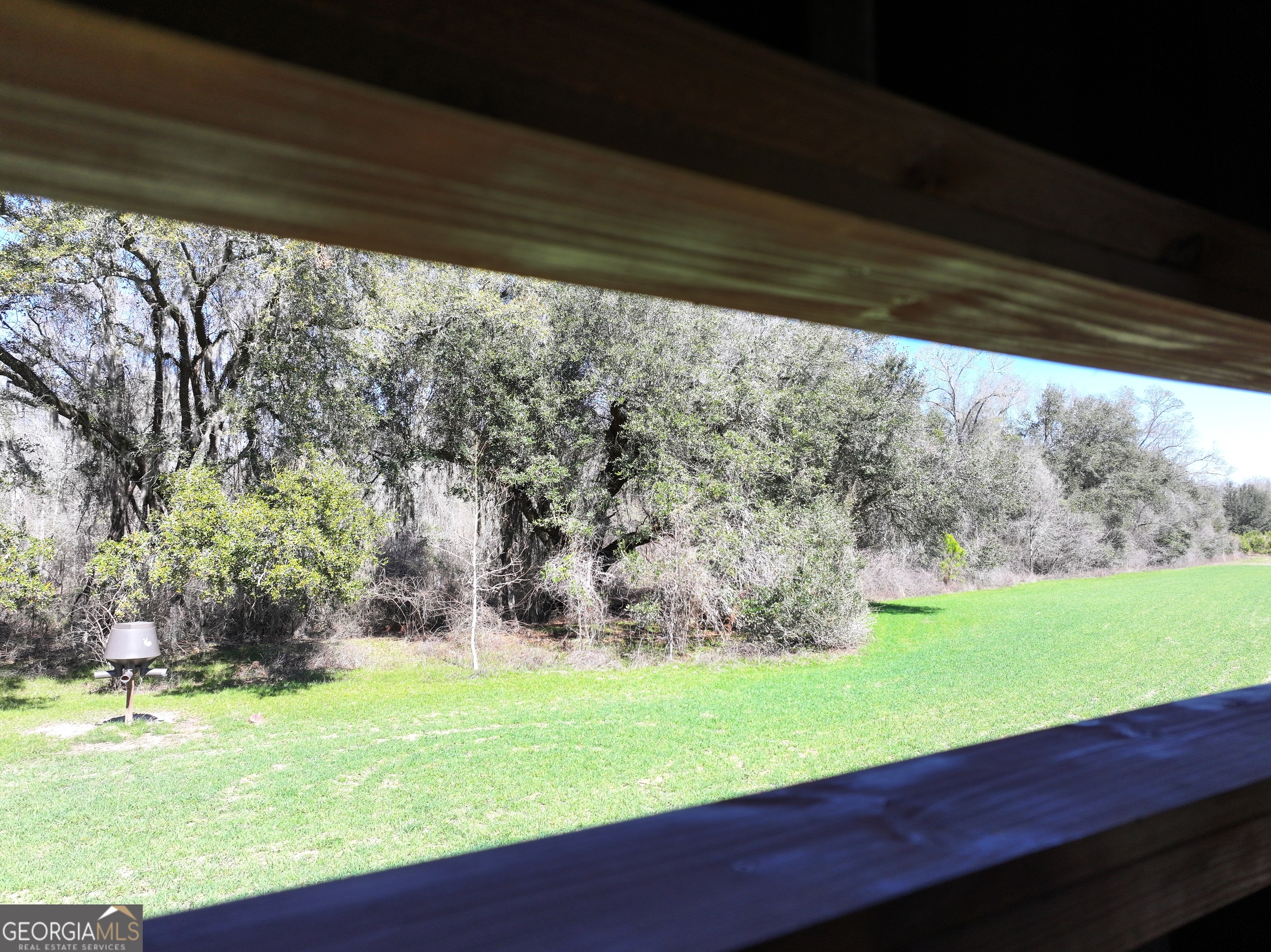 2430 Big Oak Road Damascus, GA 39841 - Photo 22 of 84