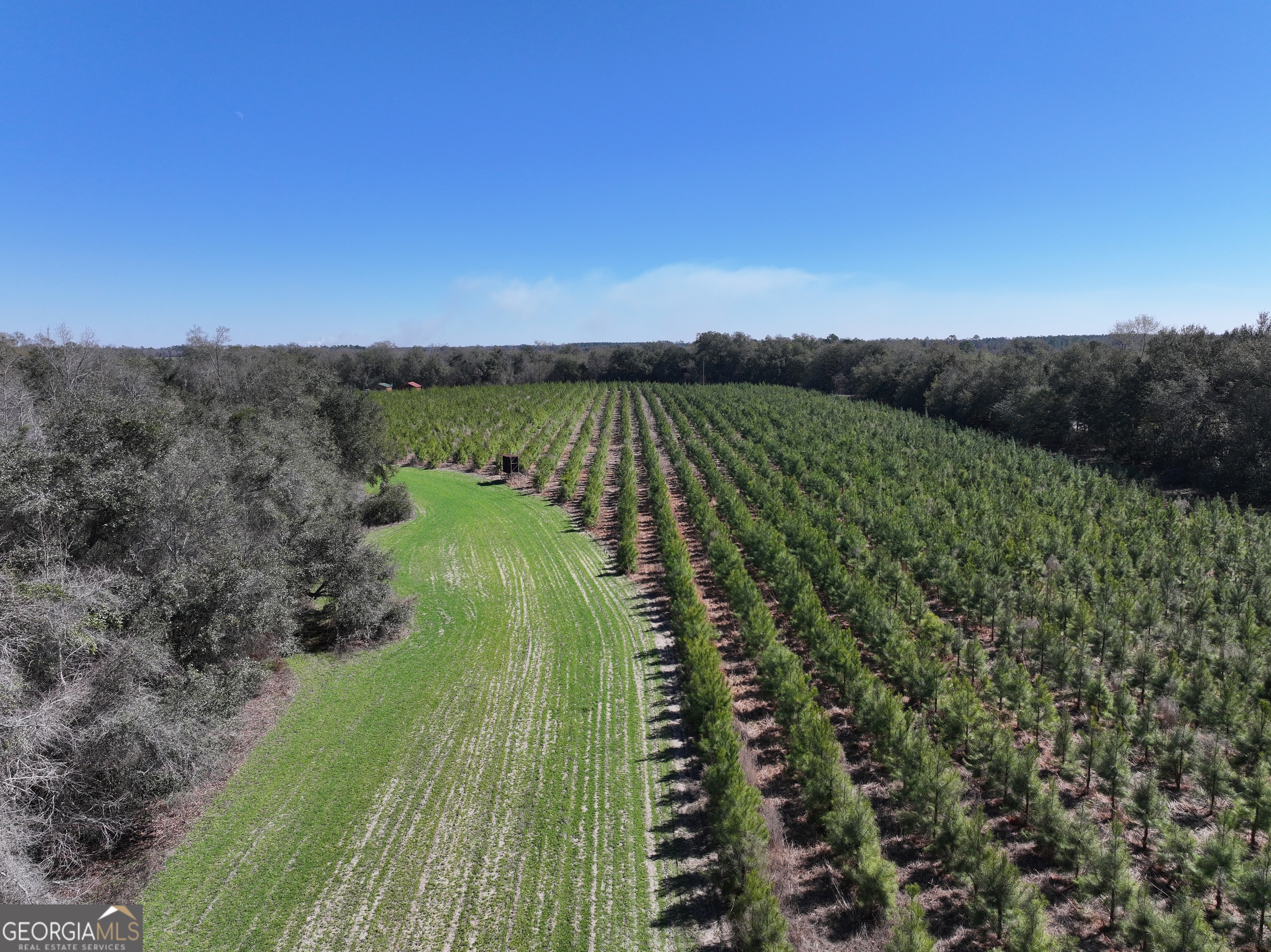 2430 Big Oak Road Damascus, GA 39841 - Photo 24 of 84