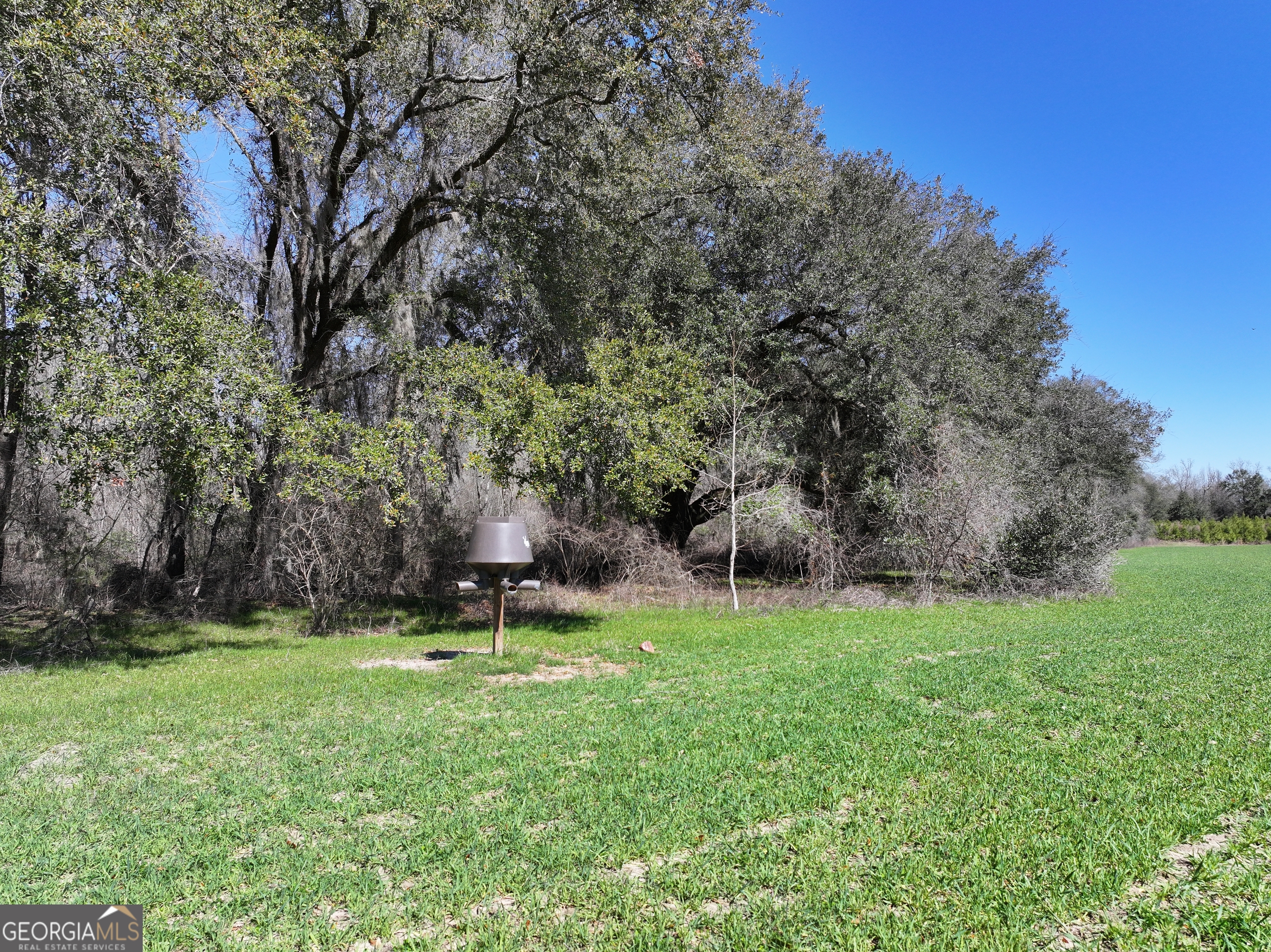 2430 Big Oak Road Damascus, GA 39841 - Photo 25 of 84