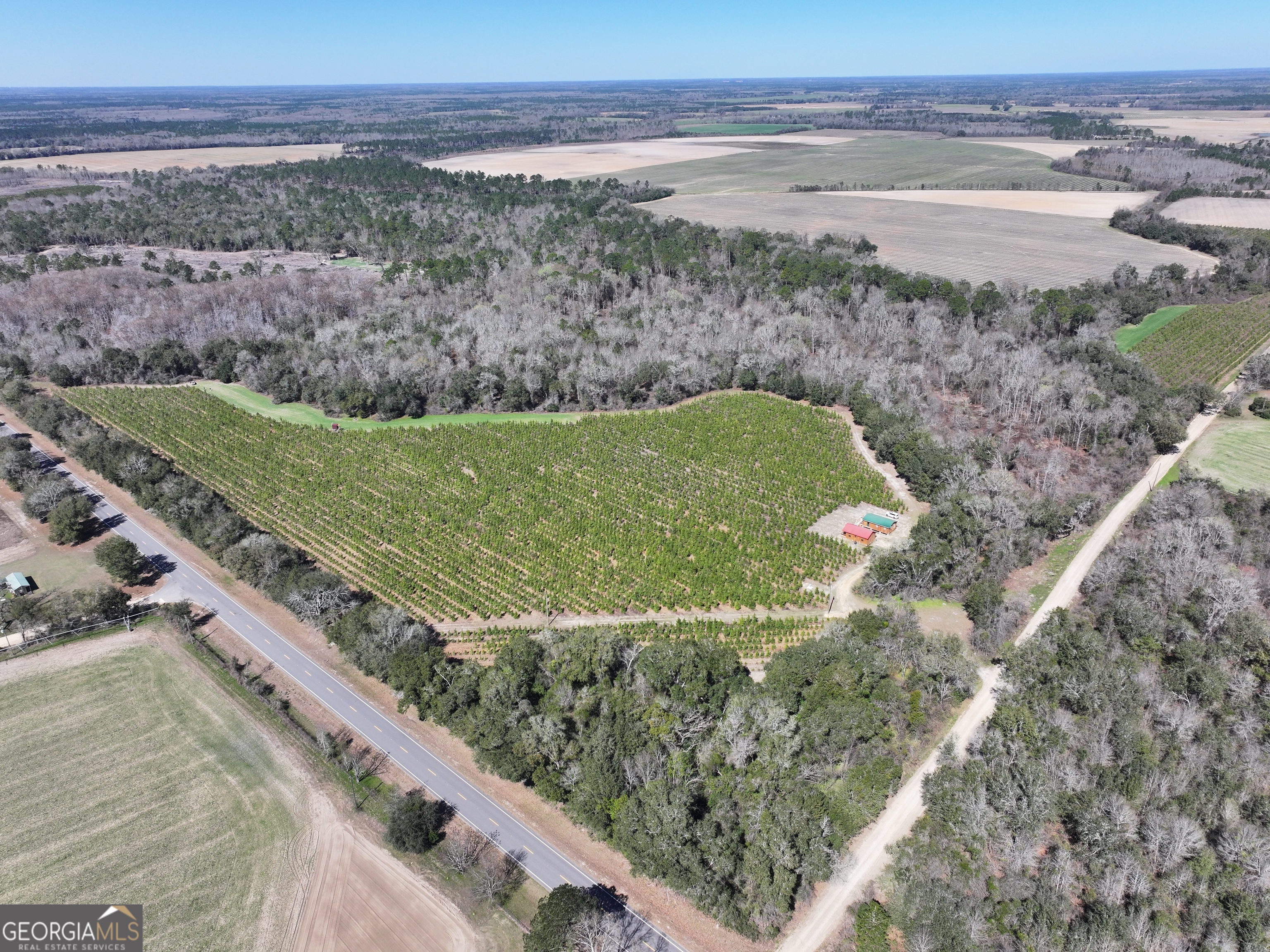 2430 Big Oak Road Damascus, GA 39841 - Photo 30 of 84