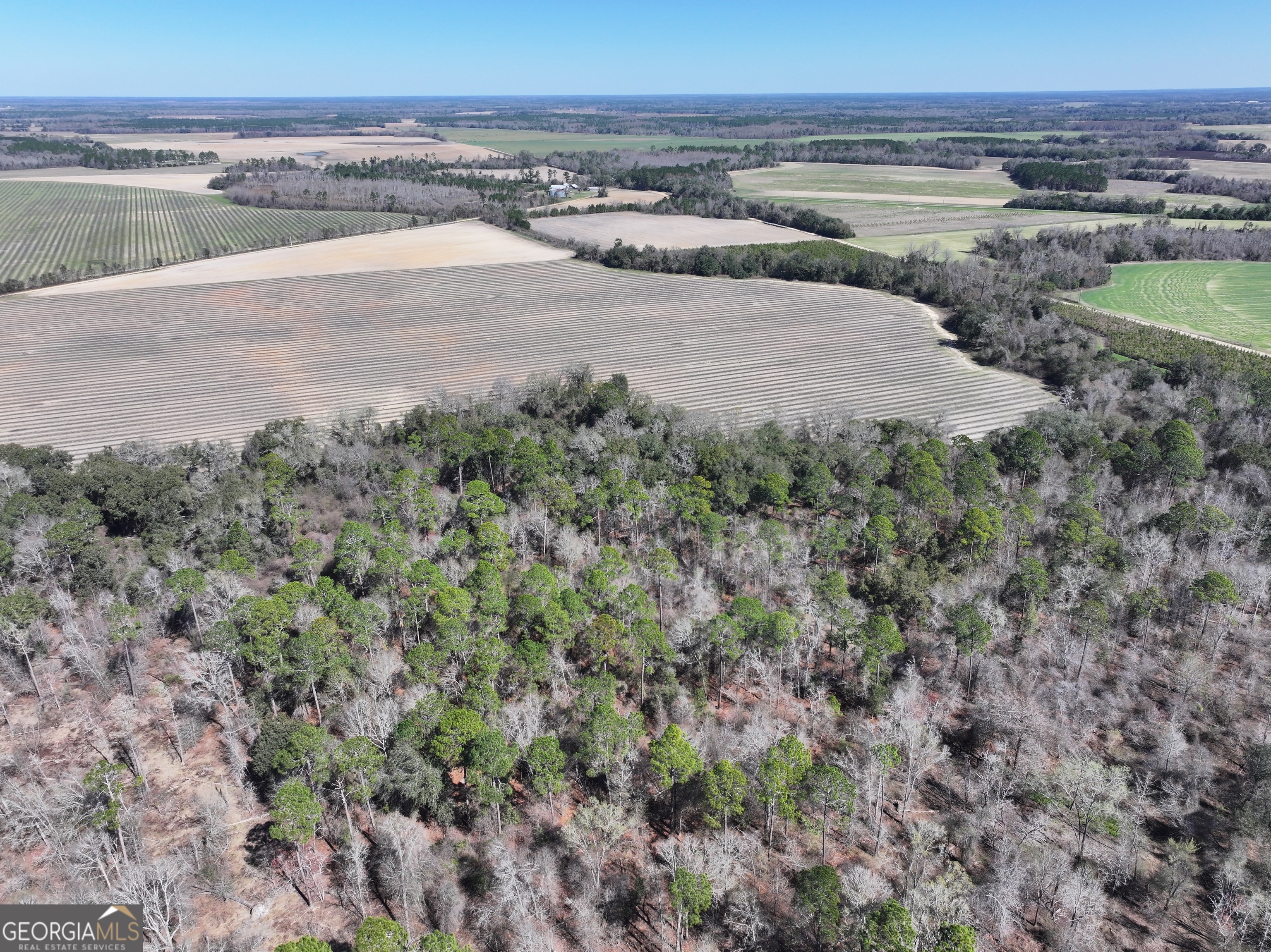 2430 Big Oak Road Damascus, GA 39841 - Photo 31 of 84