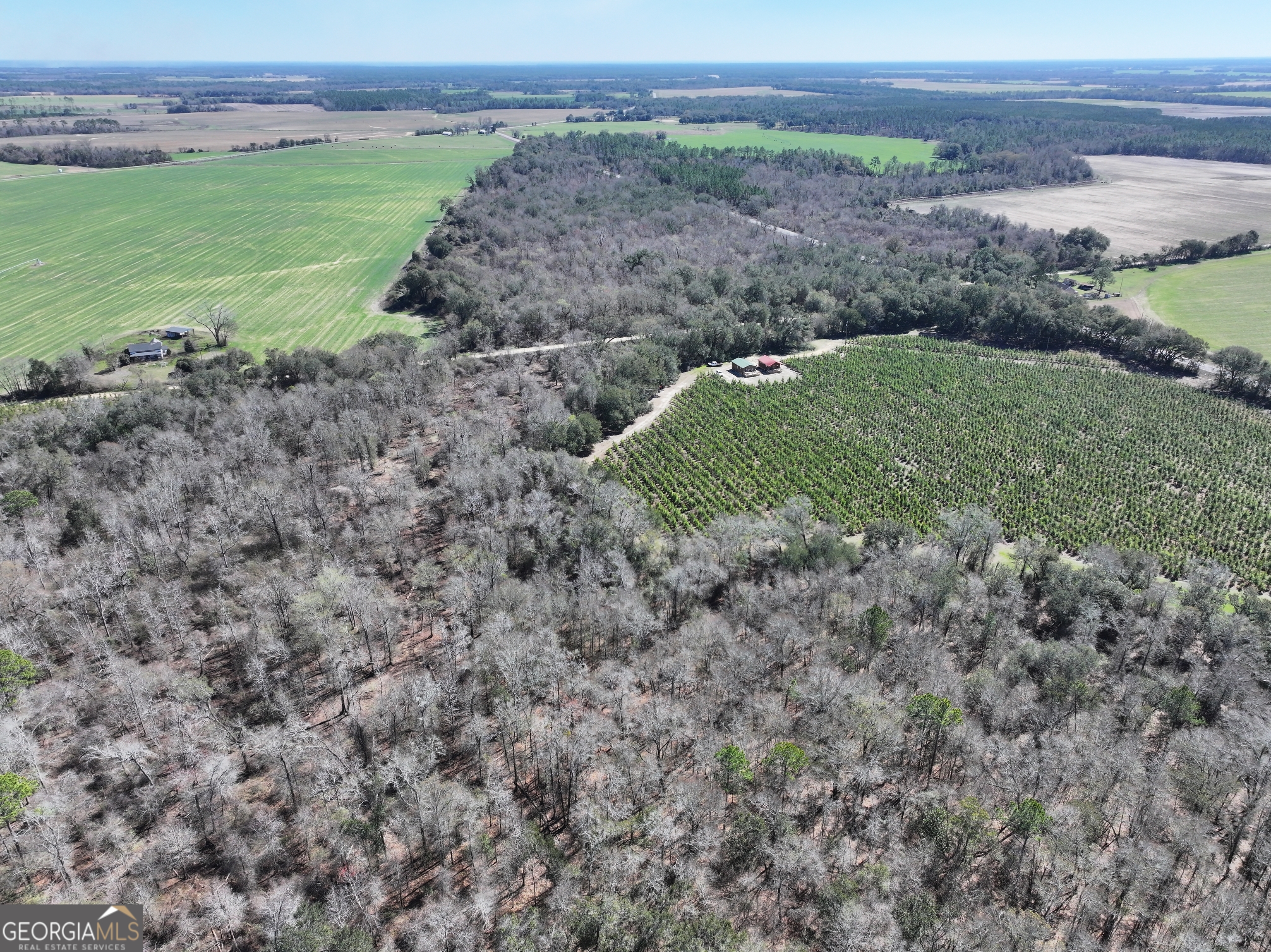 2430 Big Oak Road Damascus, GA 39841 - Photo 32 of 84