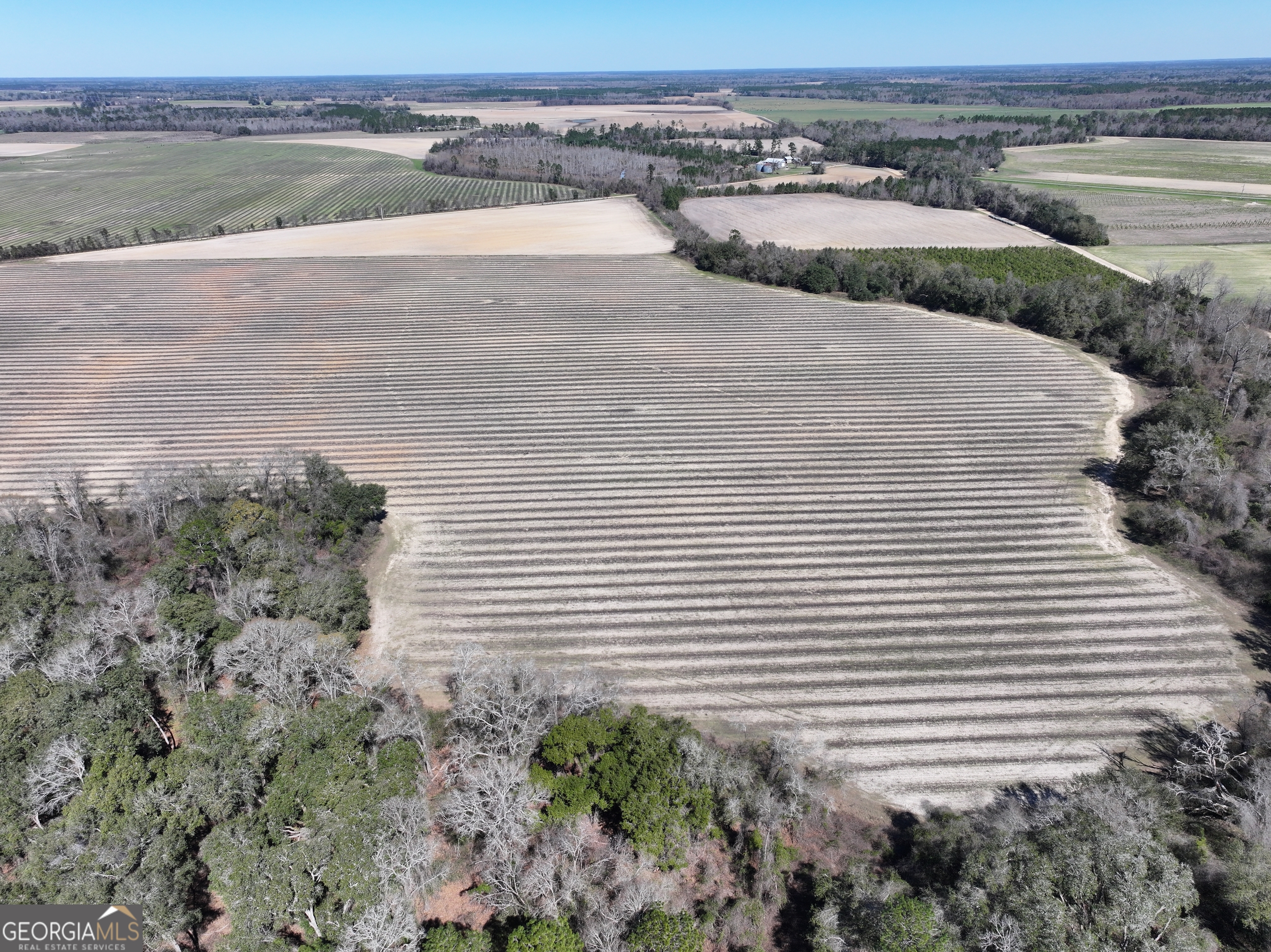 2430 Big Oak Road Damascus, GA 39841 - Photo 34 of 84