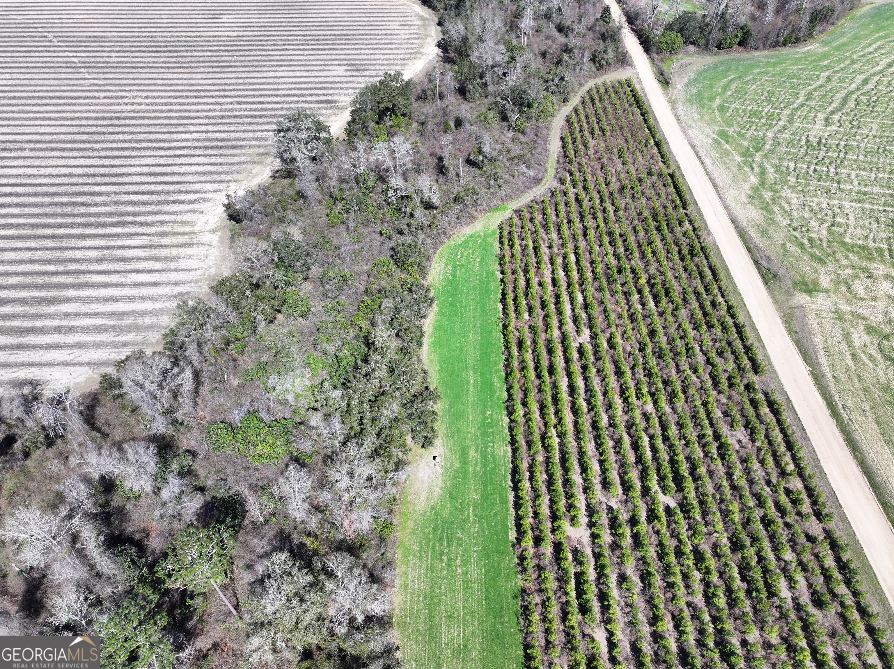 2430 Big Oak Road Damascus, GA 39841 - Photo 35 of 84