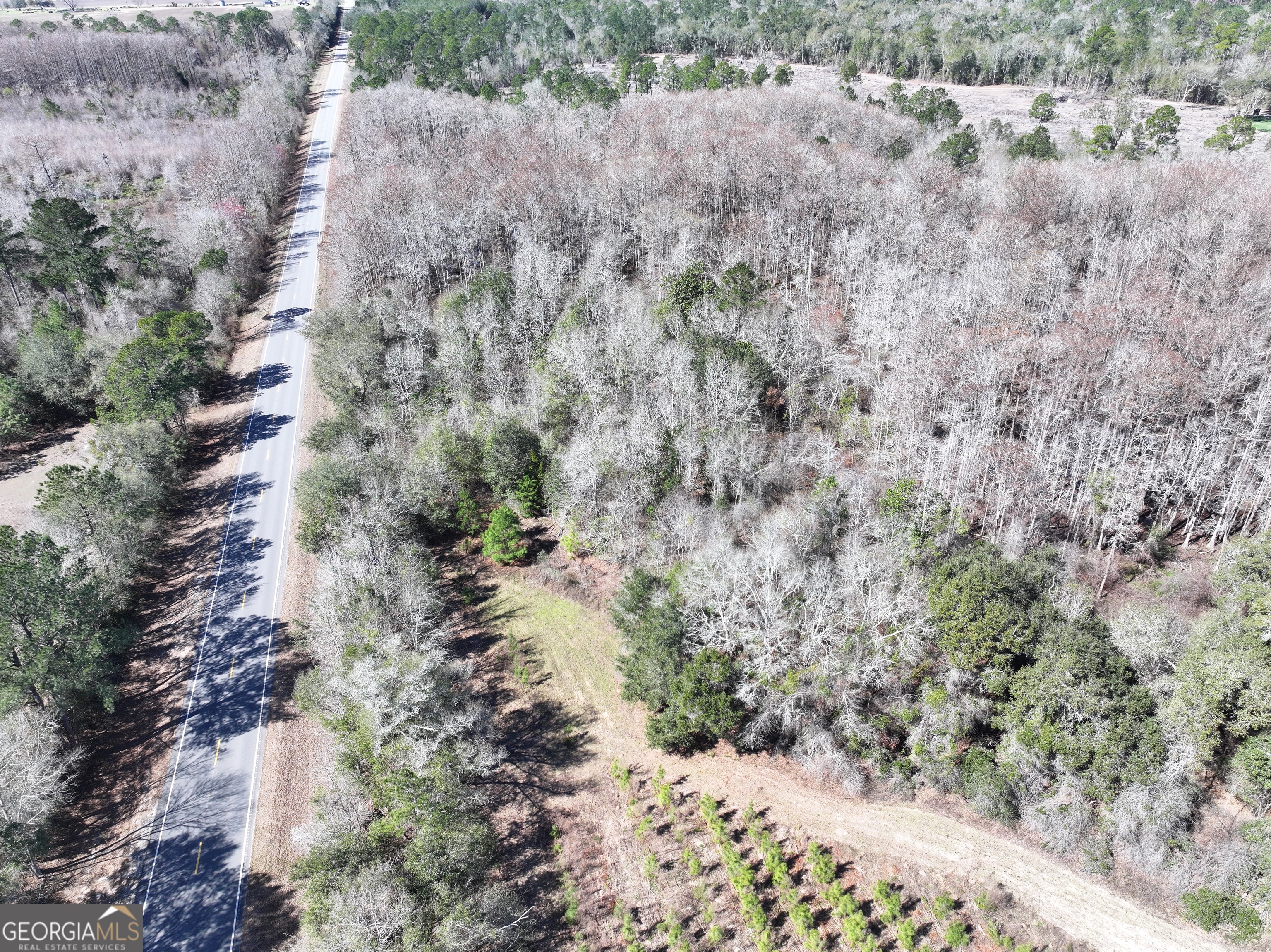 2430 Big Oak Road Damascus, GA 39841 - Photo 36 of 84