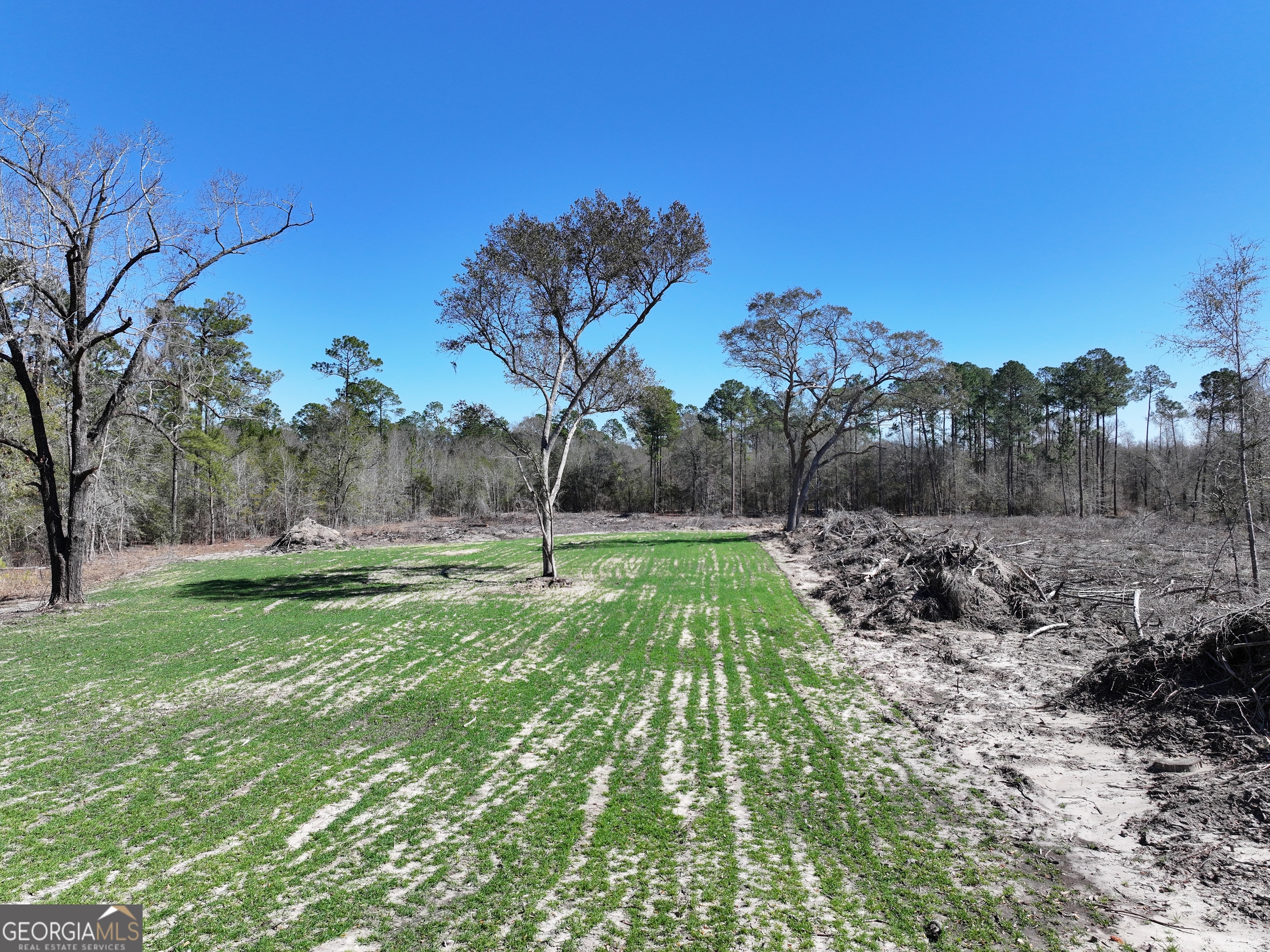 2430 Big Oak Road Damascus, GA 39841 - Photo 37 of 84