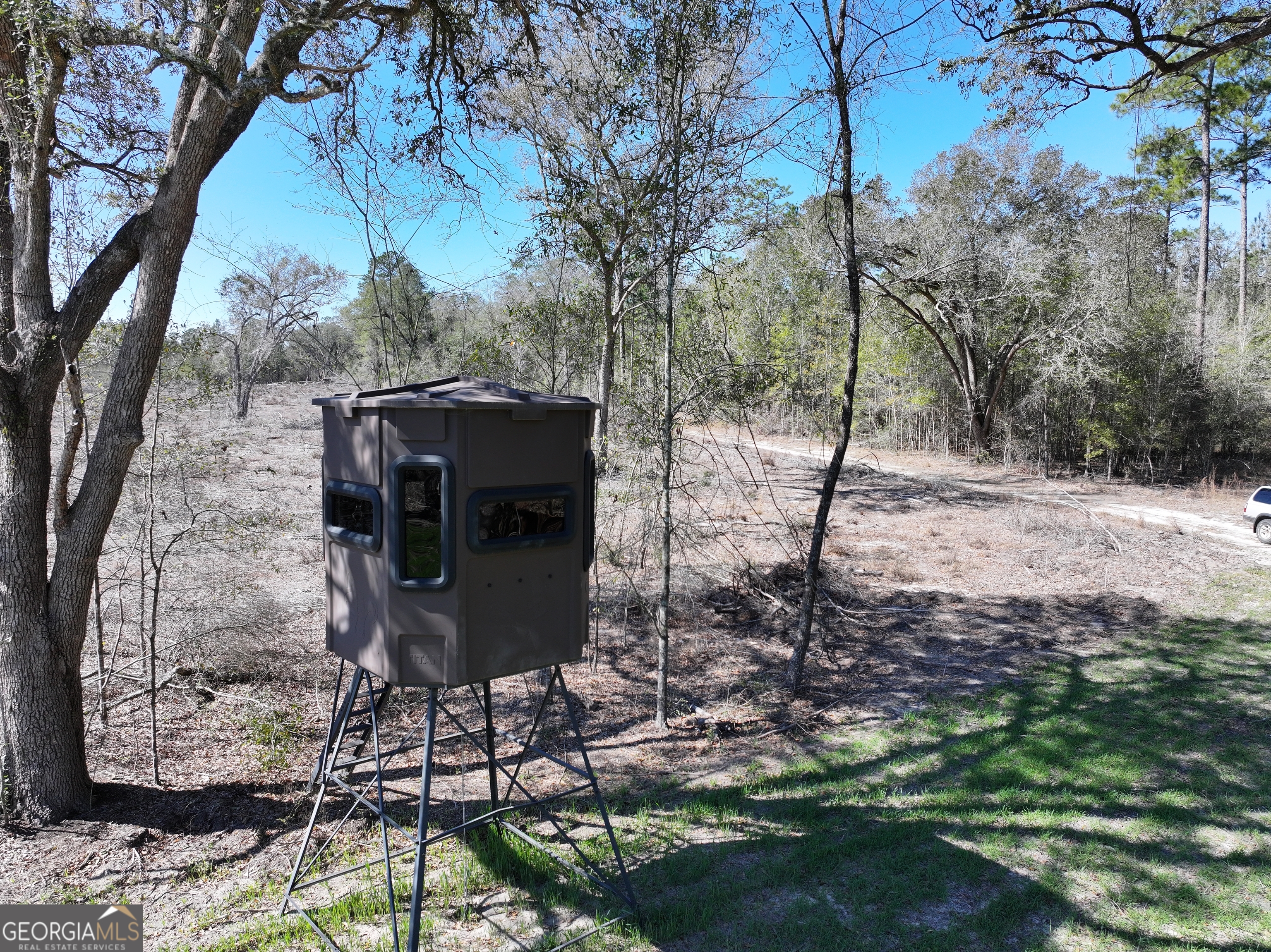 2430 Big Oak Road Damascus, GA 39841 - Photo 39 of 84