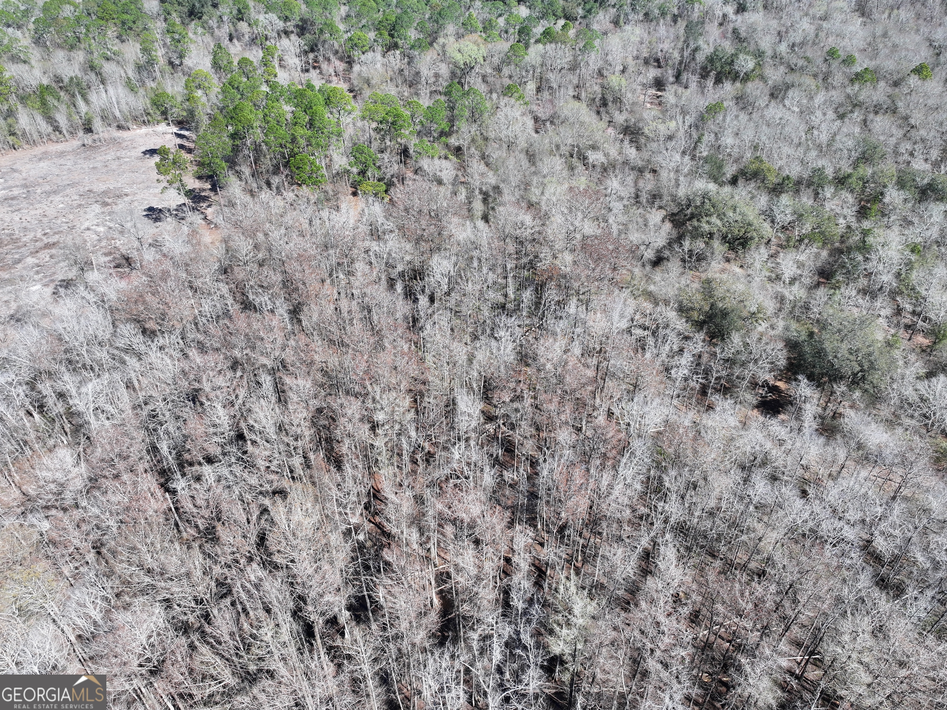 2430 Big Oak Road Damascus, GA 39841 - Photo 40 of 84