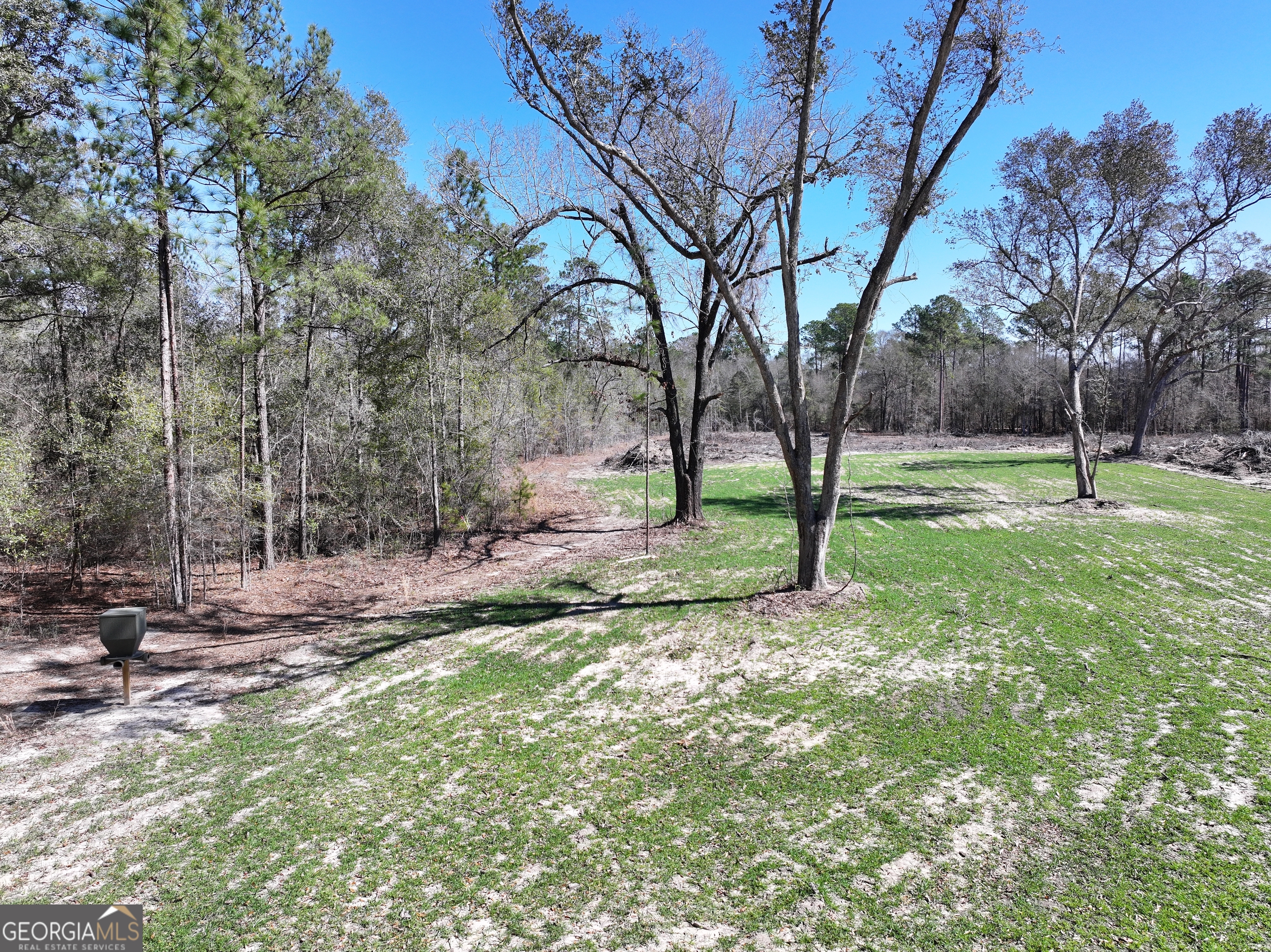 2430 Big Oak Road Damascus, GA 39841 - Photo 41 of 84