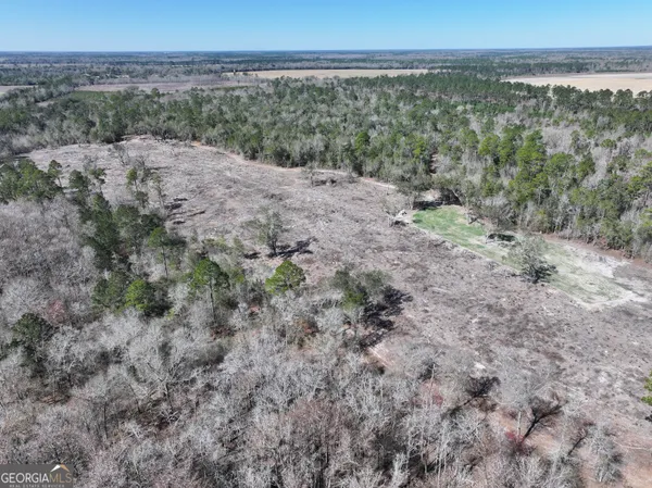 $1,399,000 | 2430 Big Oak Road, Damascus, GA 39841