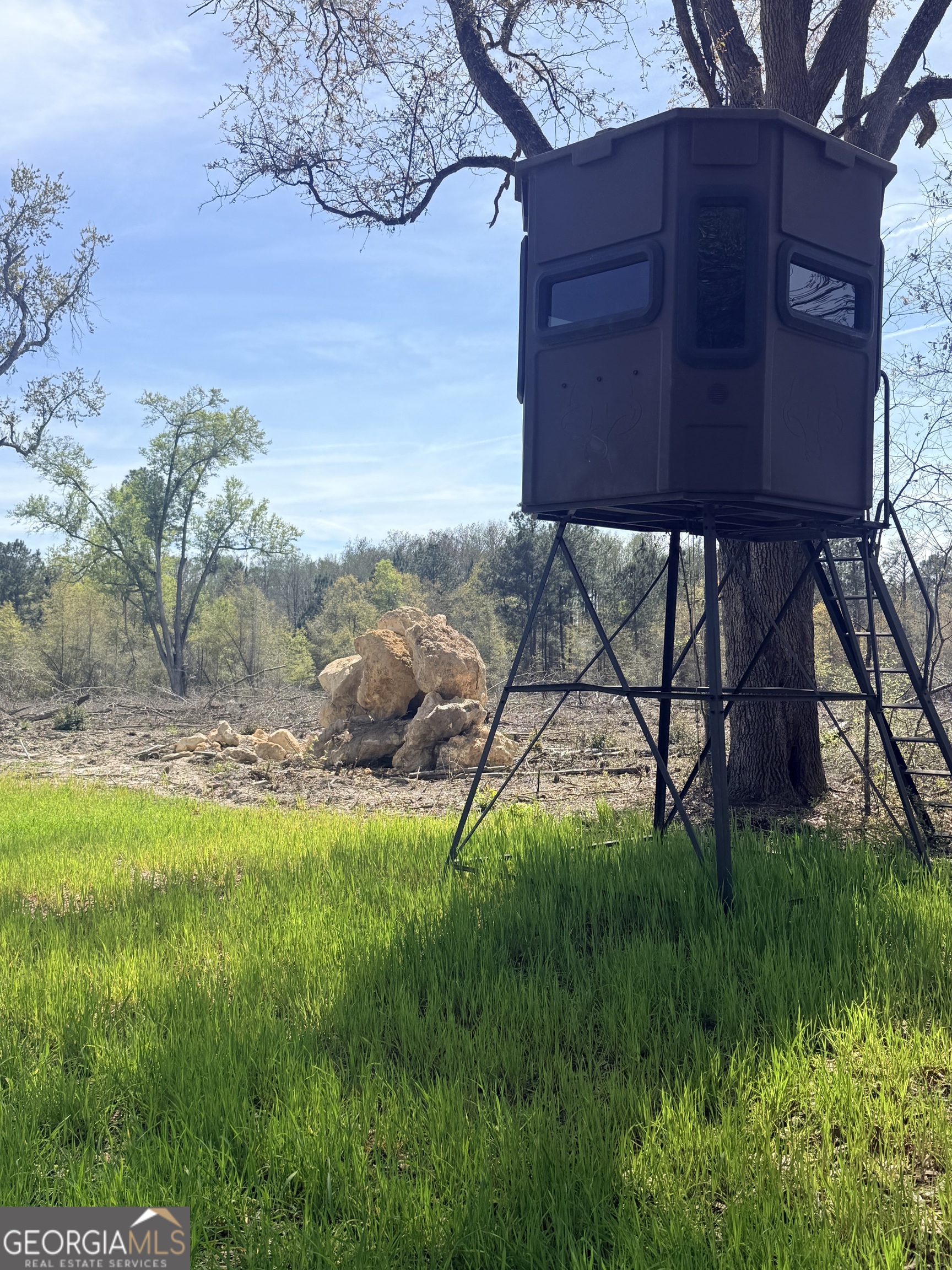 2430 Big Oak Road Damascus, GA 39841 - Photo 43 of 84