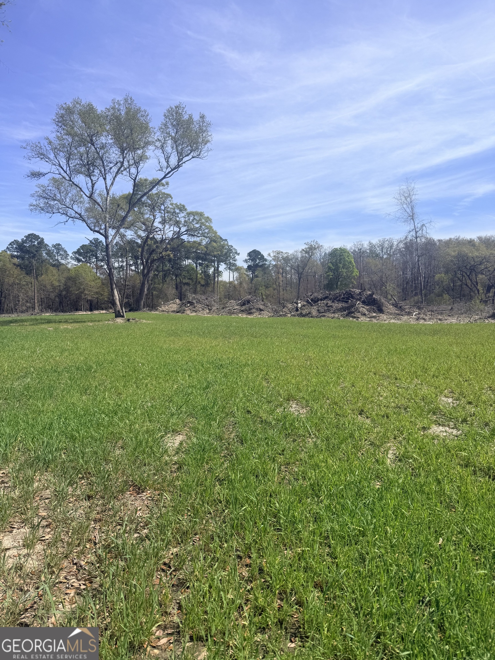 2430 Big Oak Road Damascus, GA 39841 - Photo 44 of 84