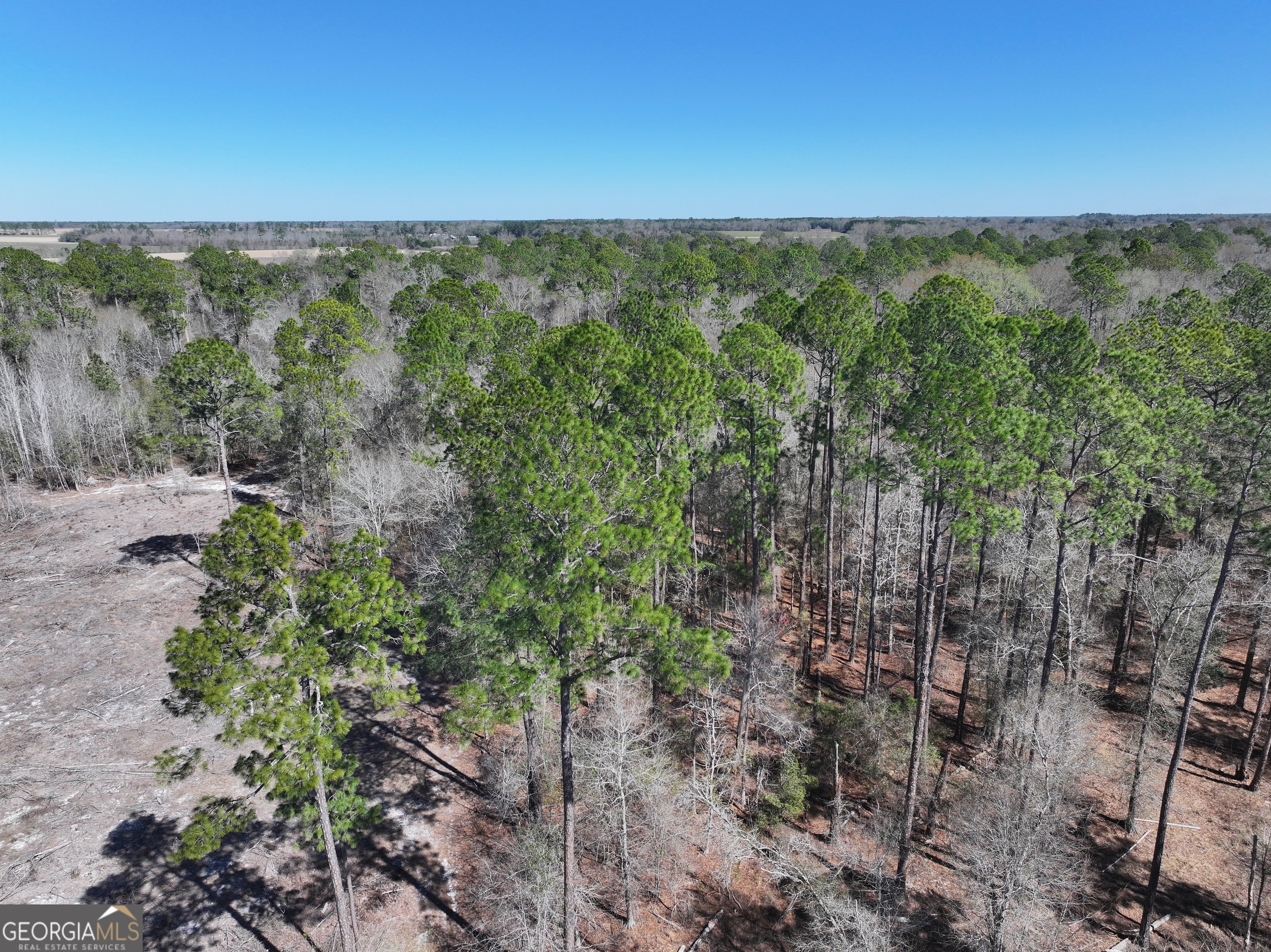 2430 Big Oak Road Damascus, GA 39841 - Photo 45 of 84