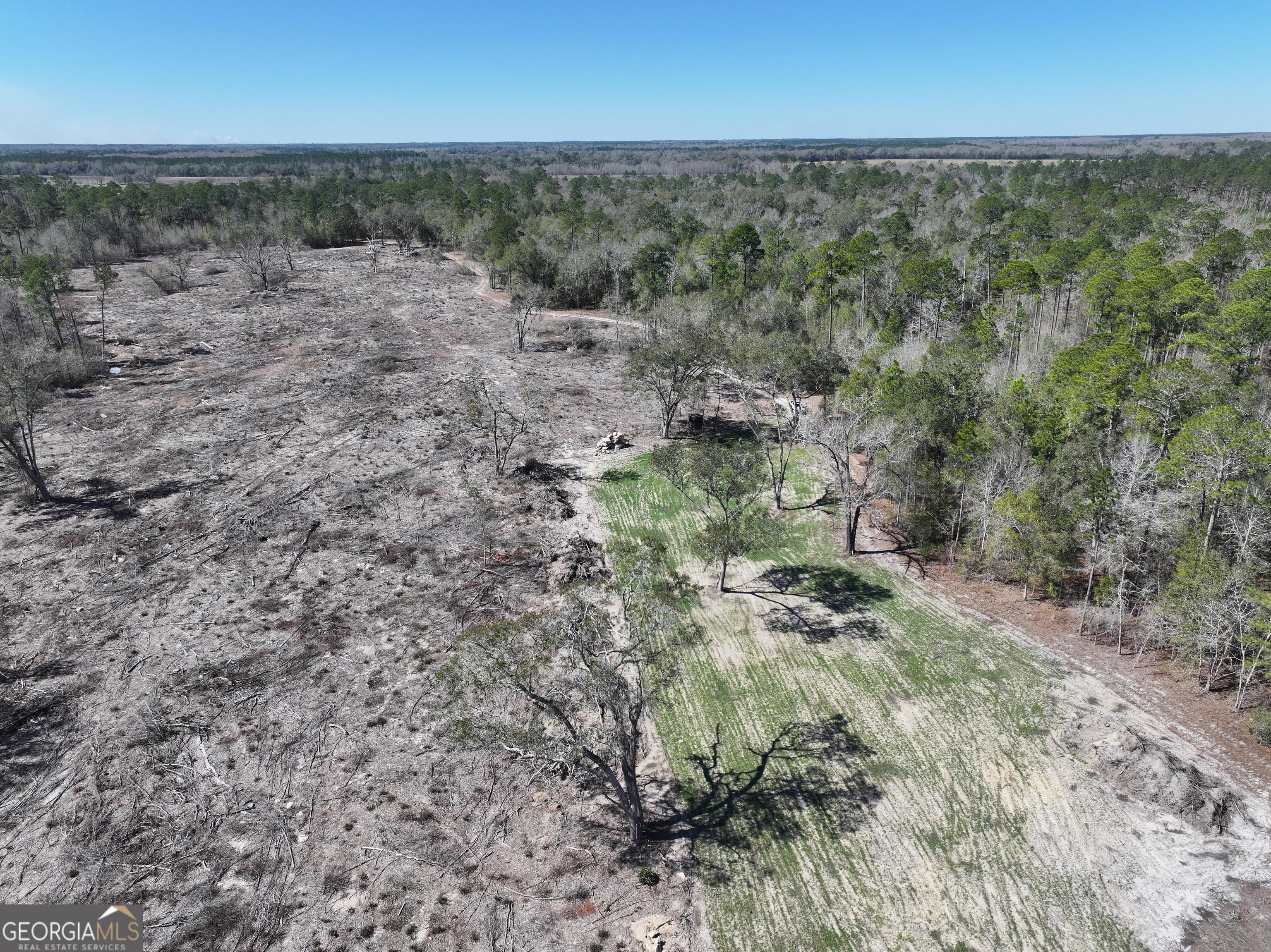 2430 Big Oak Road Damascus, GA 39841 - Photo 46 of 84