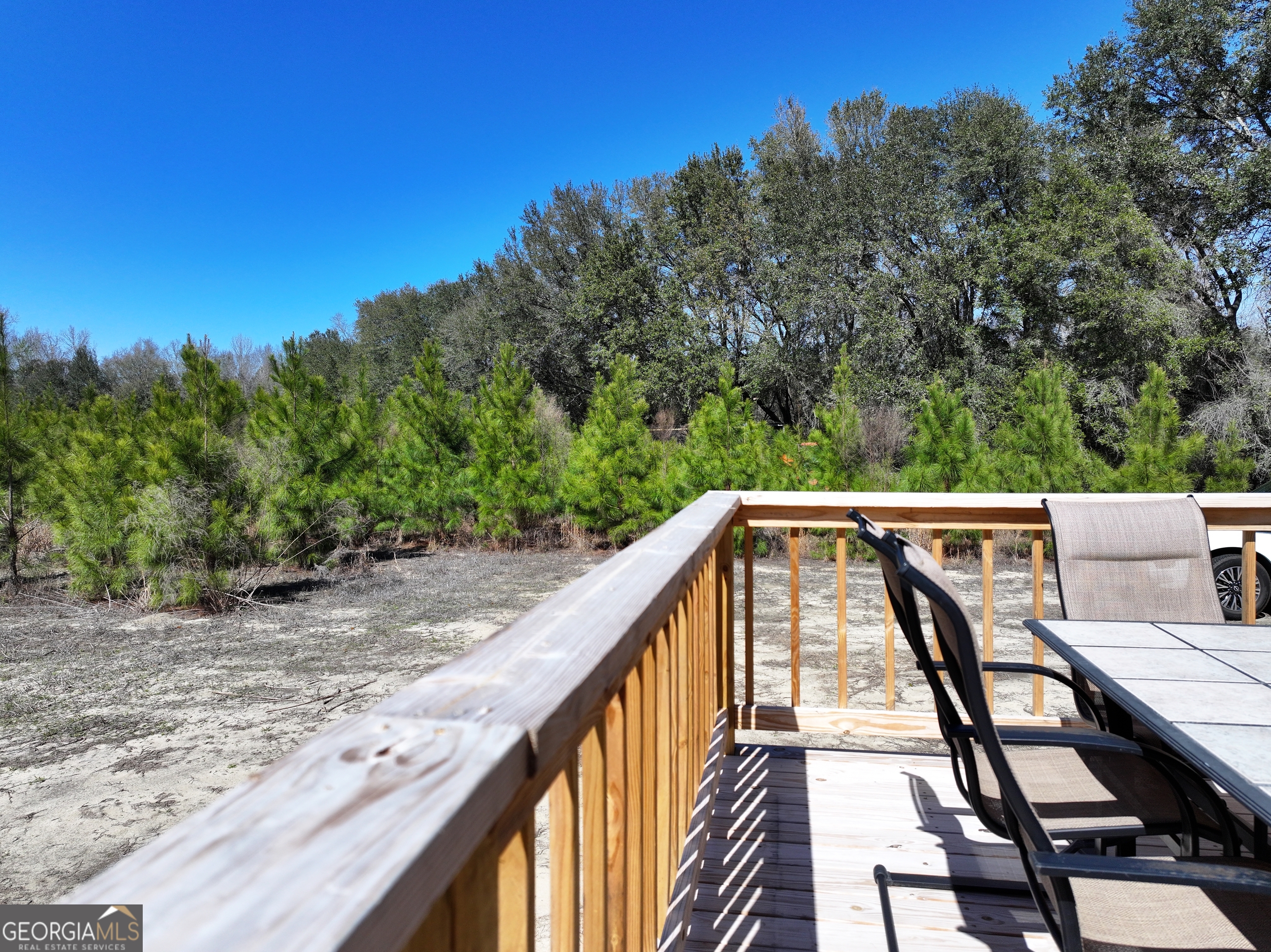 2430 Big Oak Road Damascus, GA 39841 - Photo 50 of 84