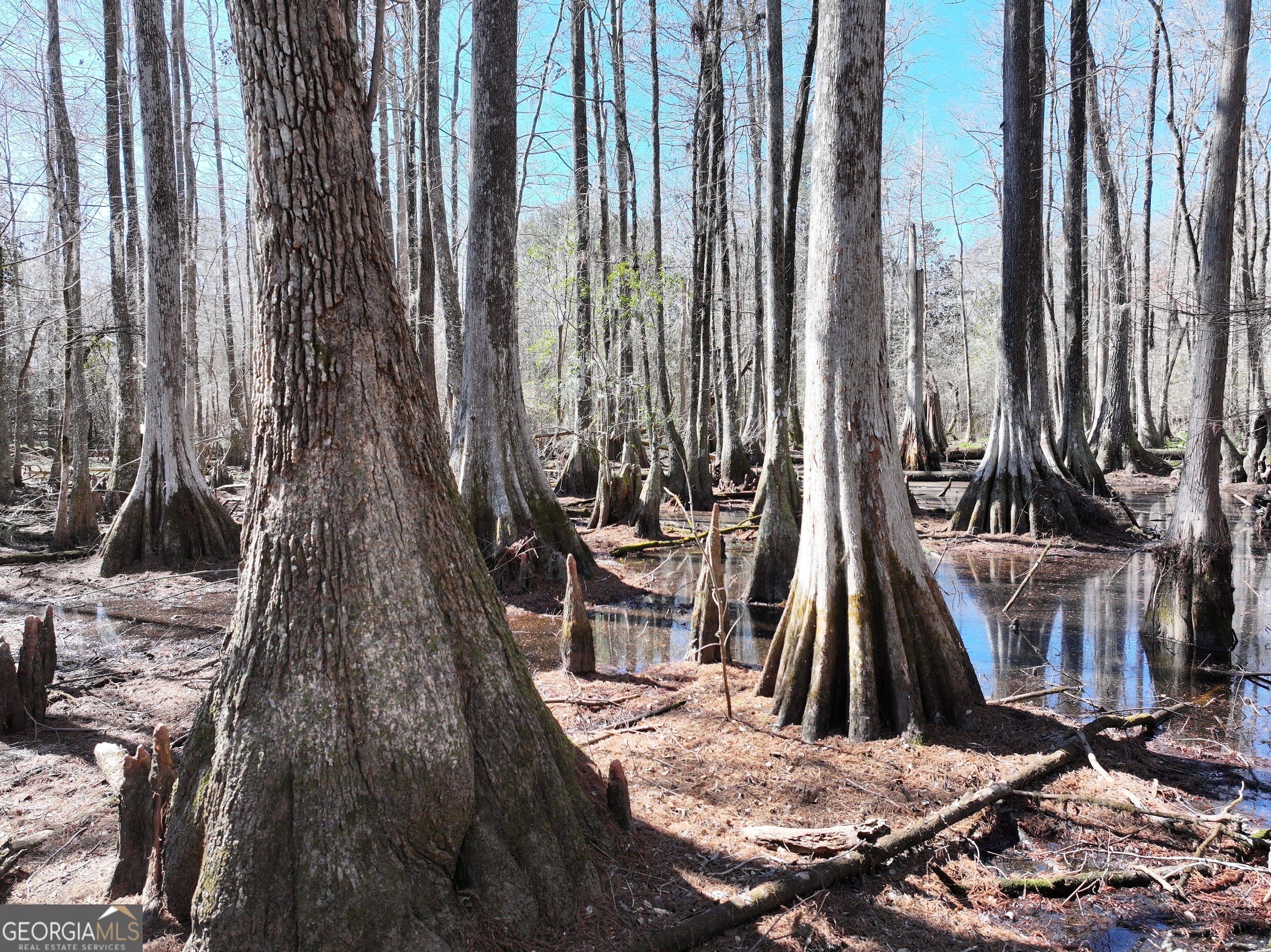 2430 Big Oak Road Damascus, GA 39841 - Photo 5 of 84