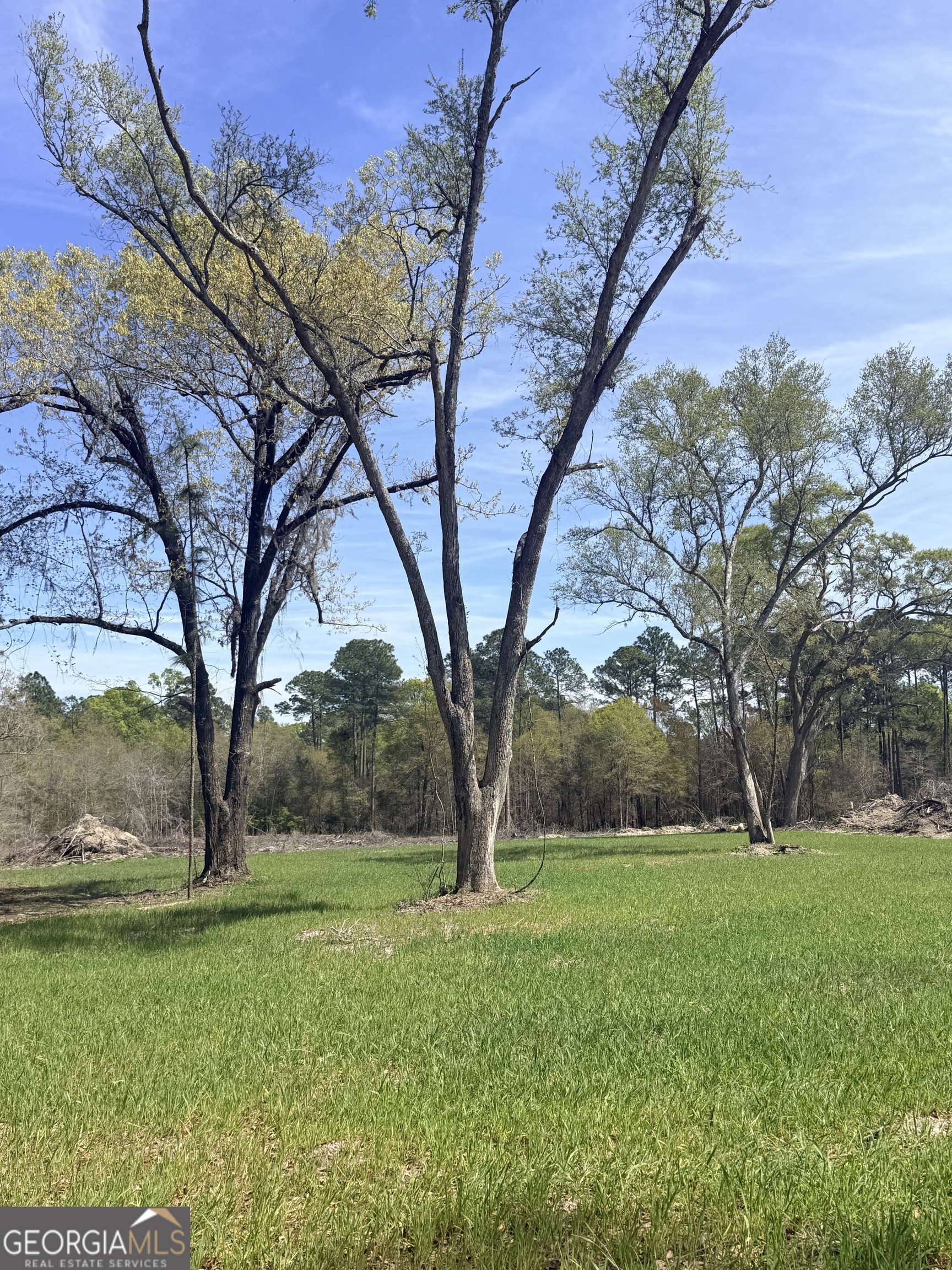 2430 Big Oak Road Damascus, GA 39841 - Photo 52 of 84