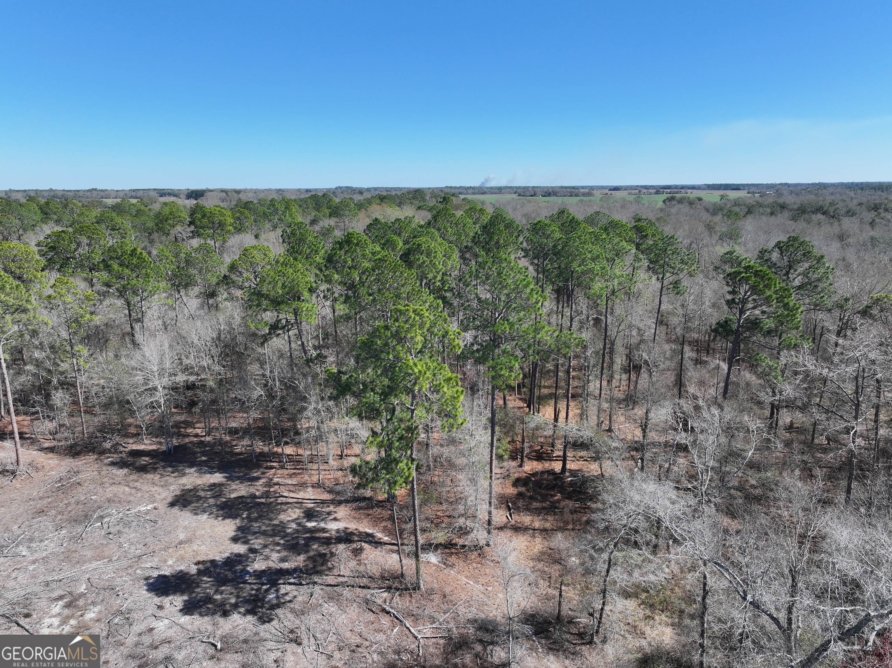 2430 Big Oak Road Damascus, GA 39841 - Photo 56 of 84